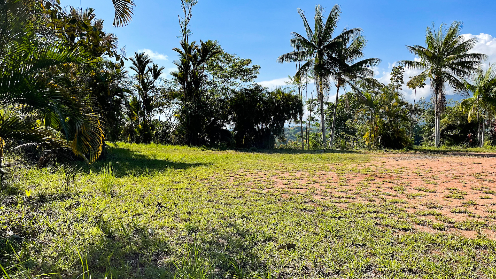 0 bed Land For Sale in Ojochal, Puntarenas - thumb 14