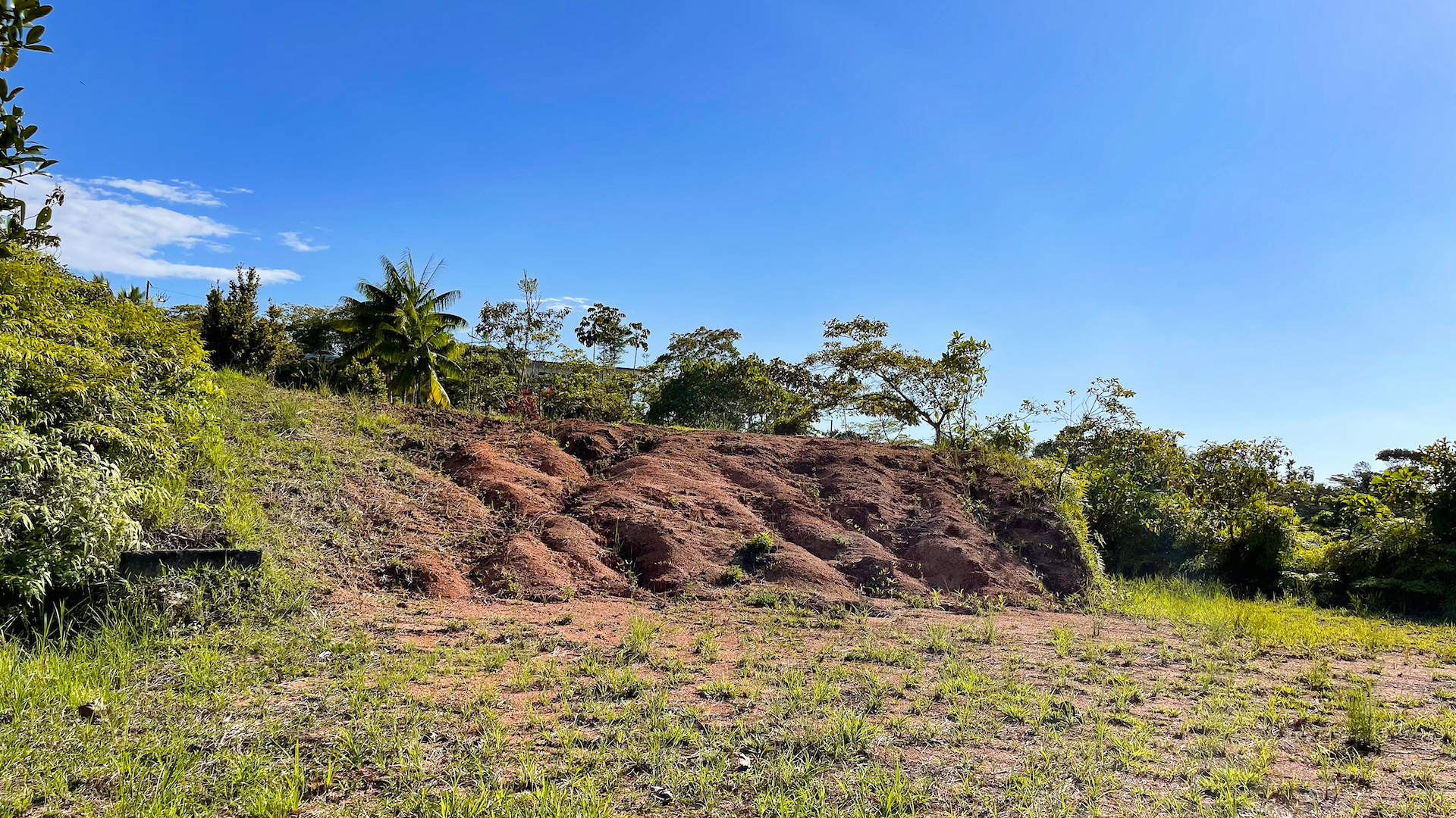 0 bed Land For Sale in Ojochal, Puntarenas - thumb 20