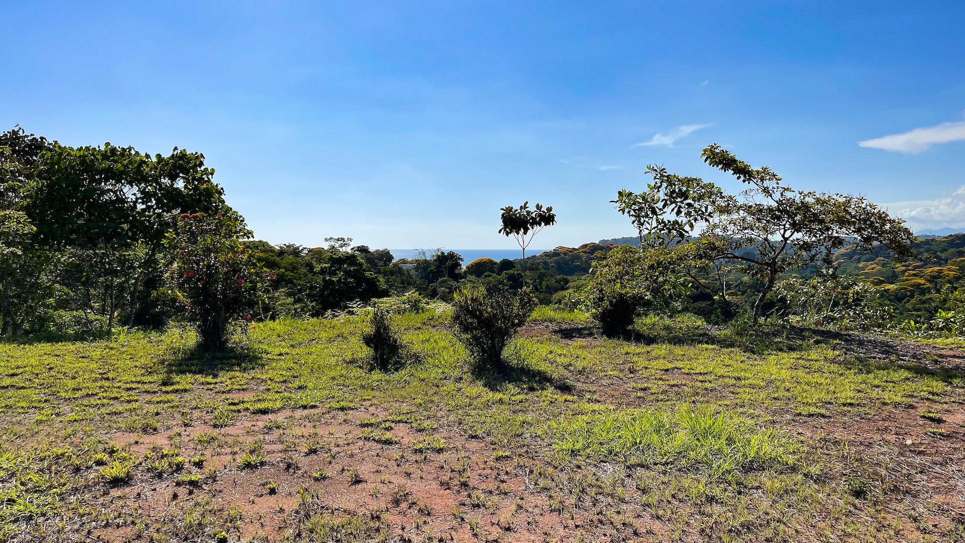 0 bed Land For Sale in Ojochal, Puntarenas - thumb 16