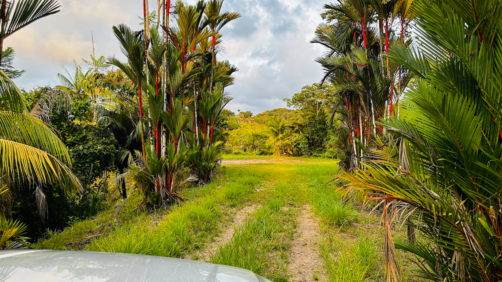 0 bed Land For Sale in Ojochal, Puntarenas - thumb 9