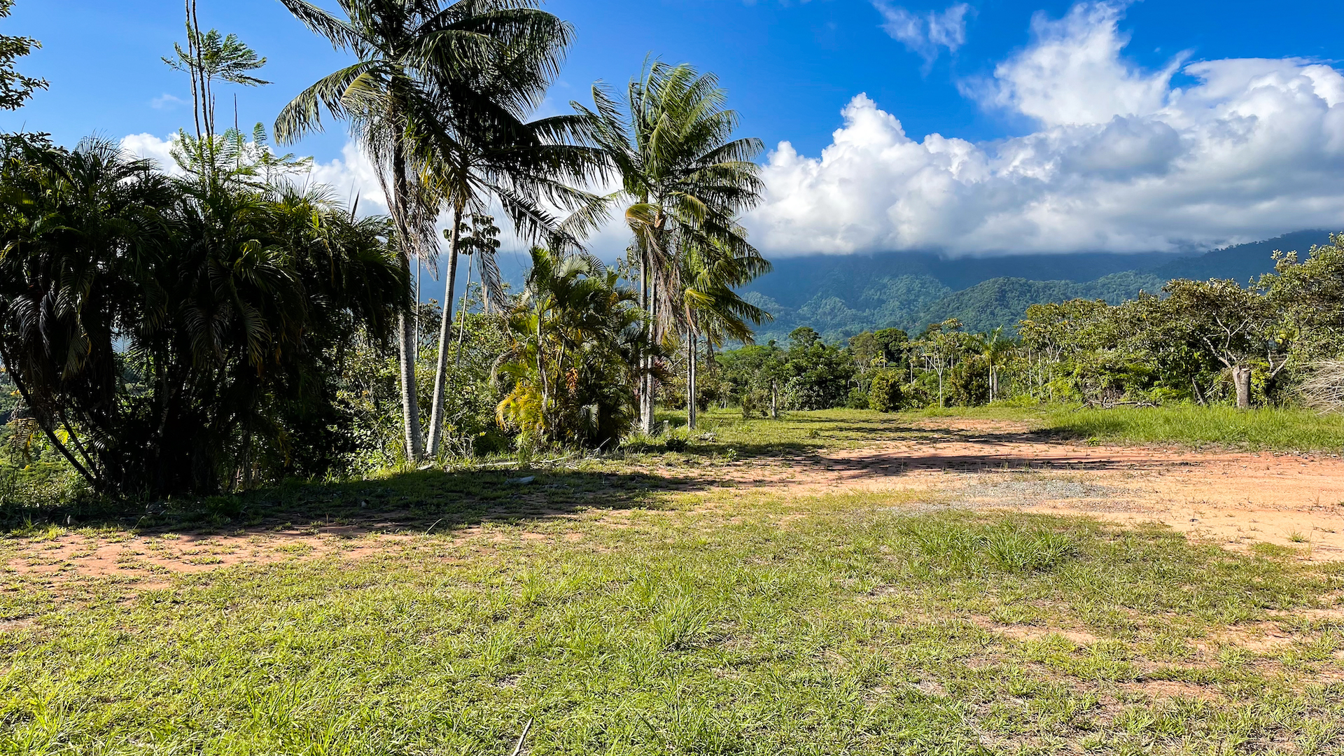0 bed Land For Sale in Ojochal, Puntarenas - thumb 13