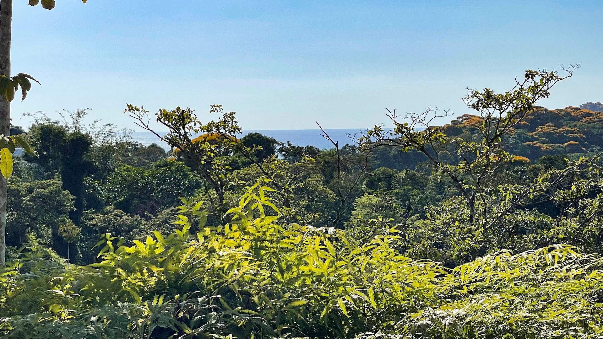 0 bed Land For Sale in Ojochal, Puntarenas - thumb 22