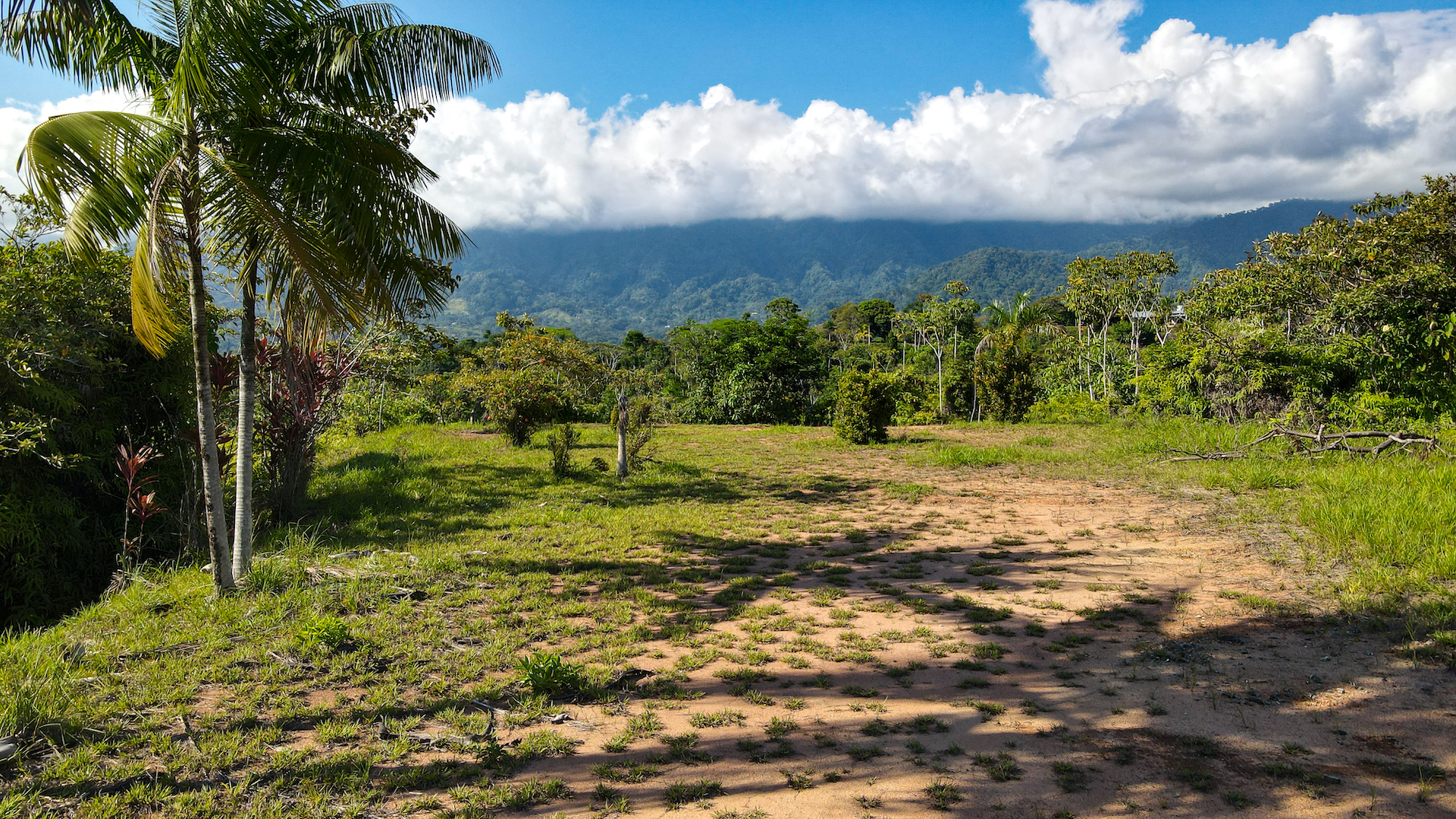 0 bed Land For Sale in Ojochal, Puntarenas - thumb 10