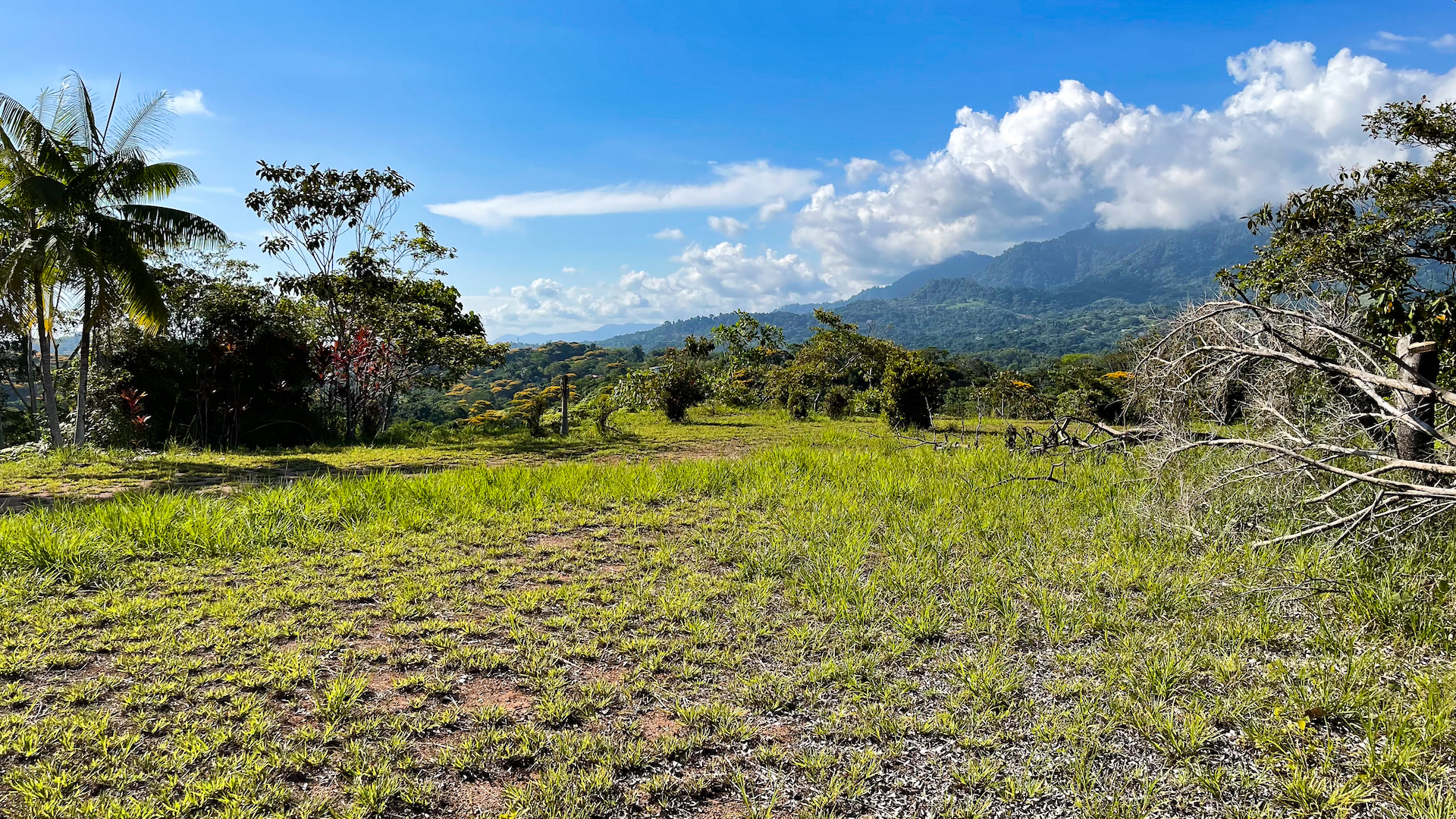 0 bed Land For Sale in Ojochal, Puntarenas - thumb 15