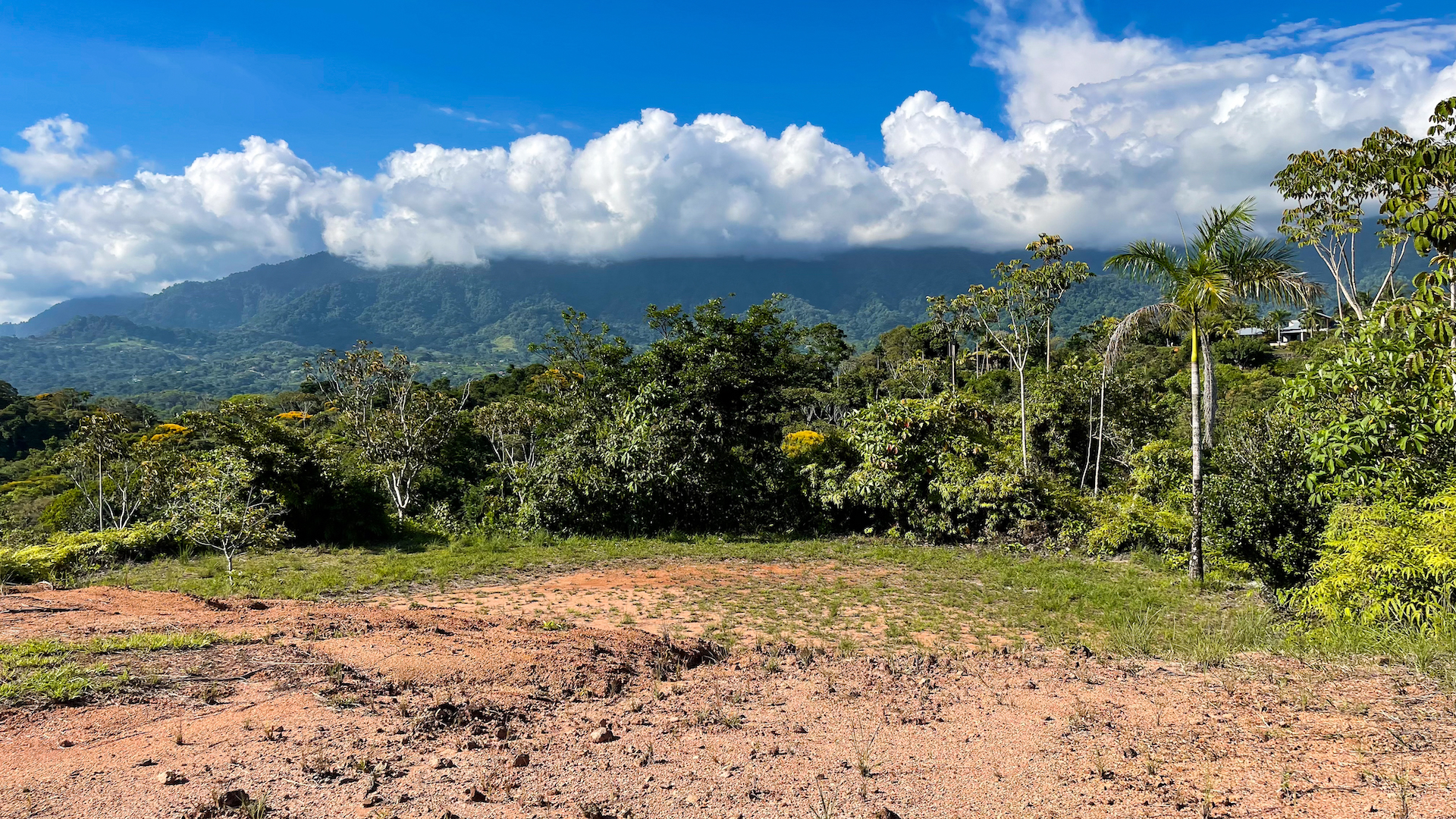 0 bed Land For Sale in Ojochal, Puntarenas - thumb 17