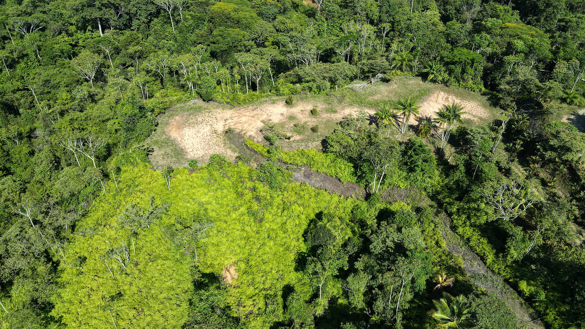 0 bed Land For Sale in Ojochal, Puntarenas - thumb 5