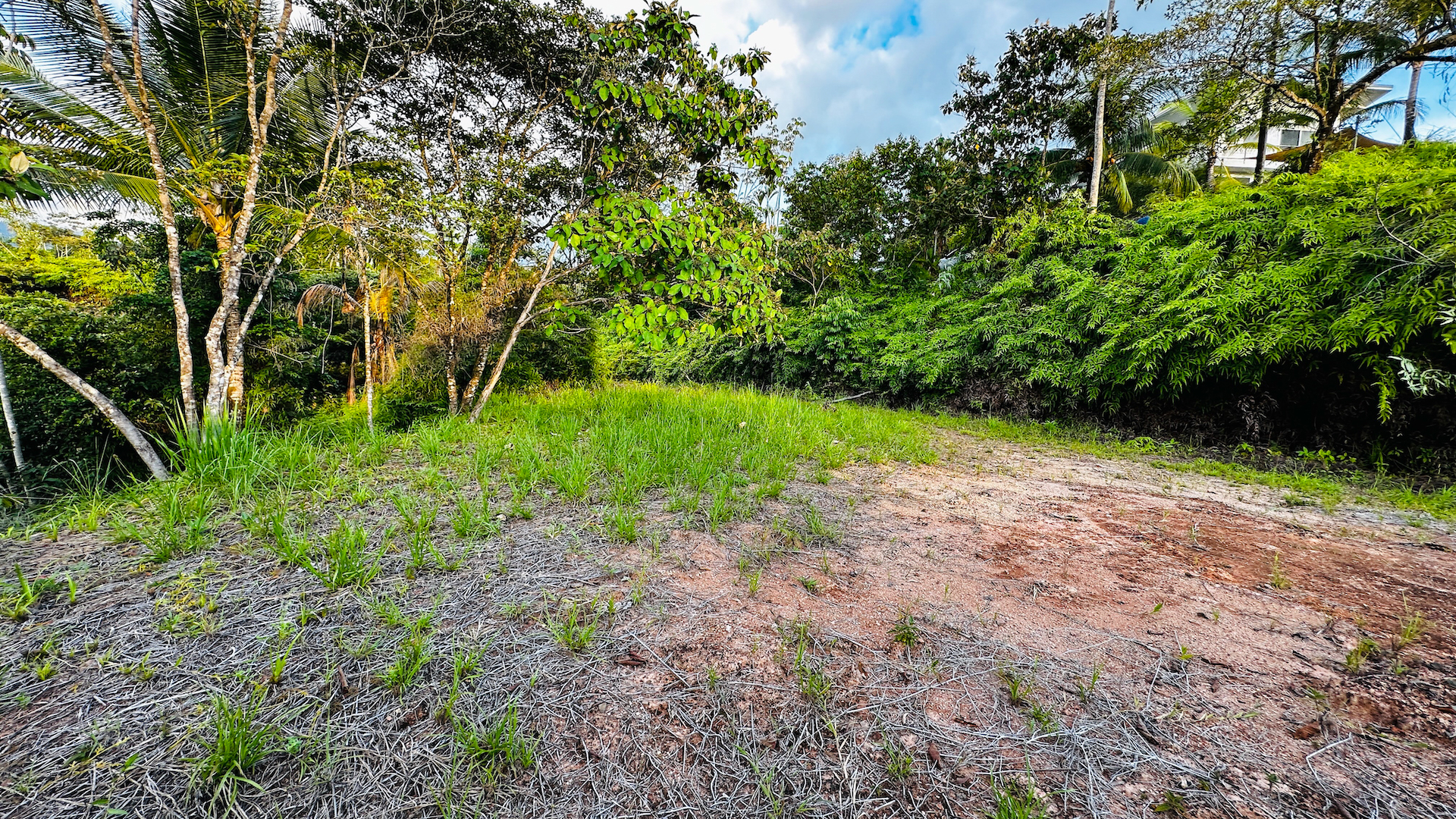 0 bed Land For Sale in Ojochal, Puntarenas - thumb 23