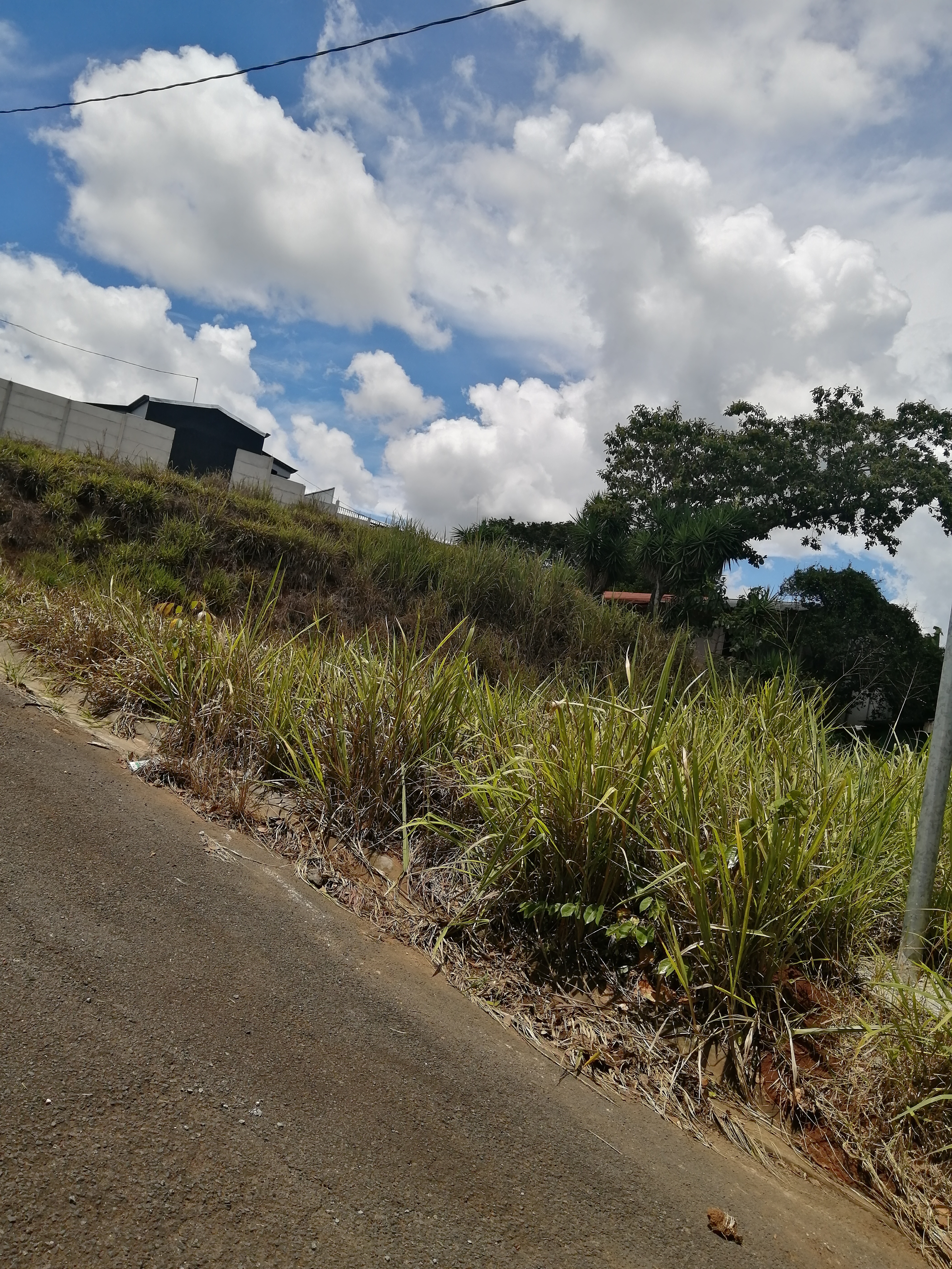 0 bed Land For Sale in Atenas, Alajuela - thumb 2