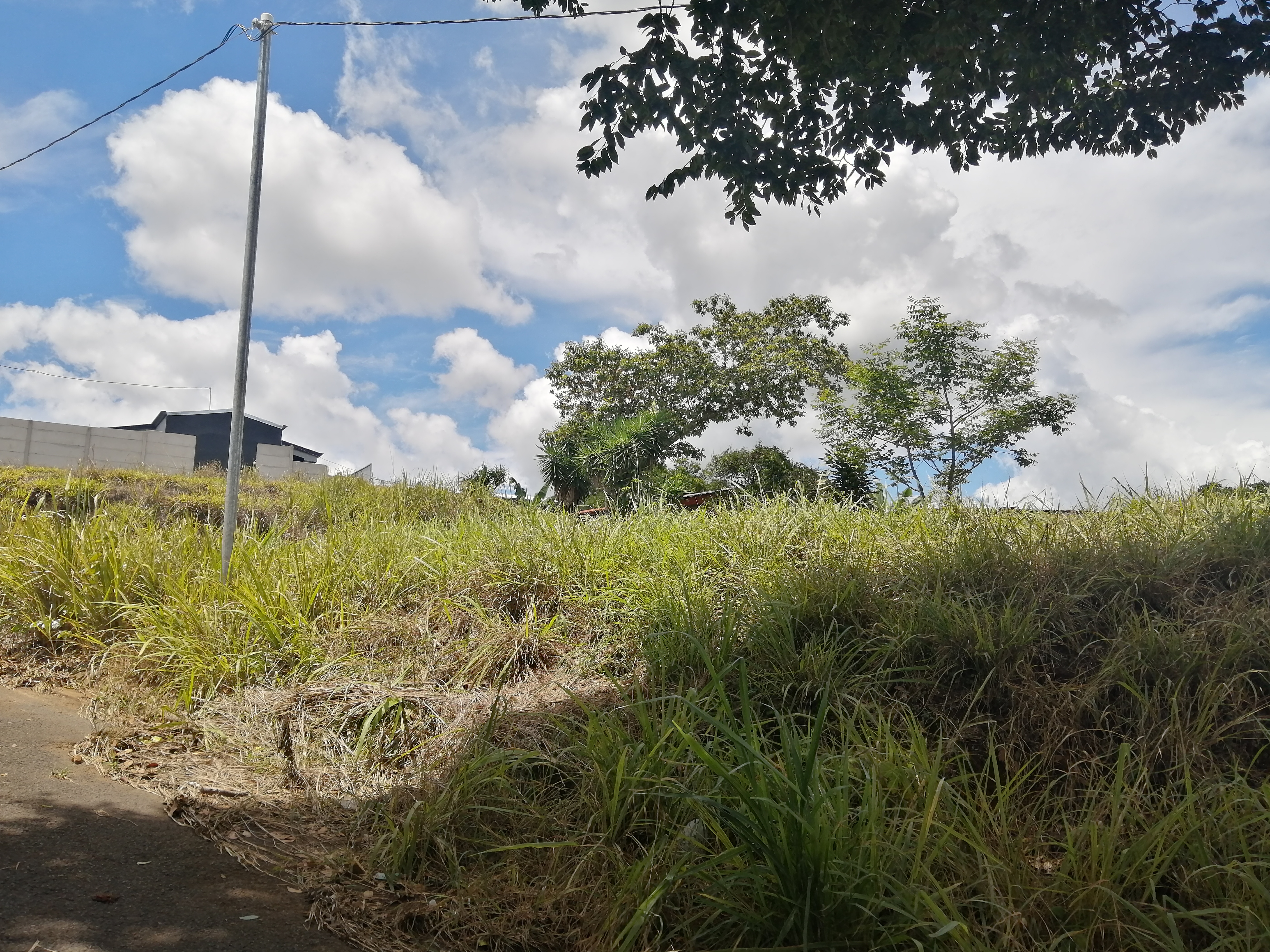 0 bed Land For Sale in Atenas, Alajuela - thumb 4