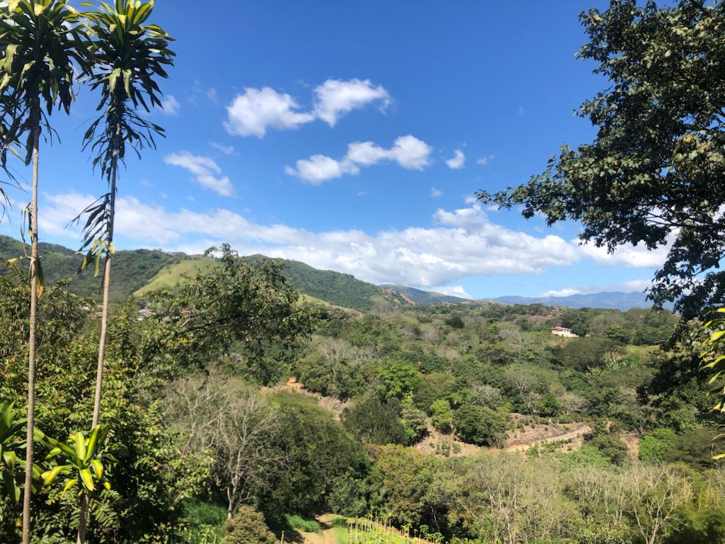 0 bed Land For Sale in Atenas, Alajuela - thumb 2