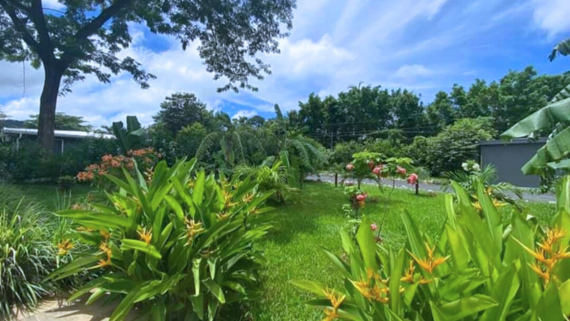 9 bed Single Family Homes For Sale in Tamarindo, Guanacaste - thumb 26