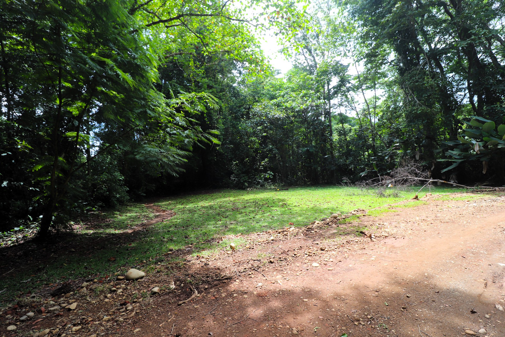 0 bed Land For Sale in Uvita, Puntarenas - thumb 18