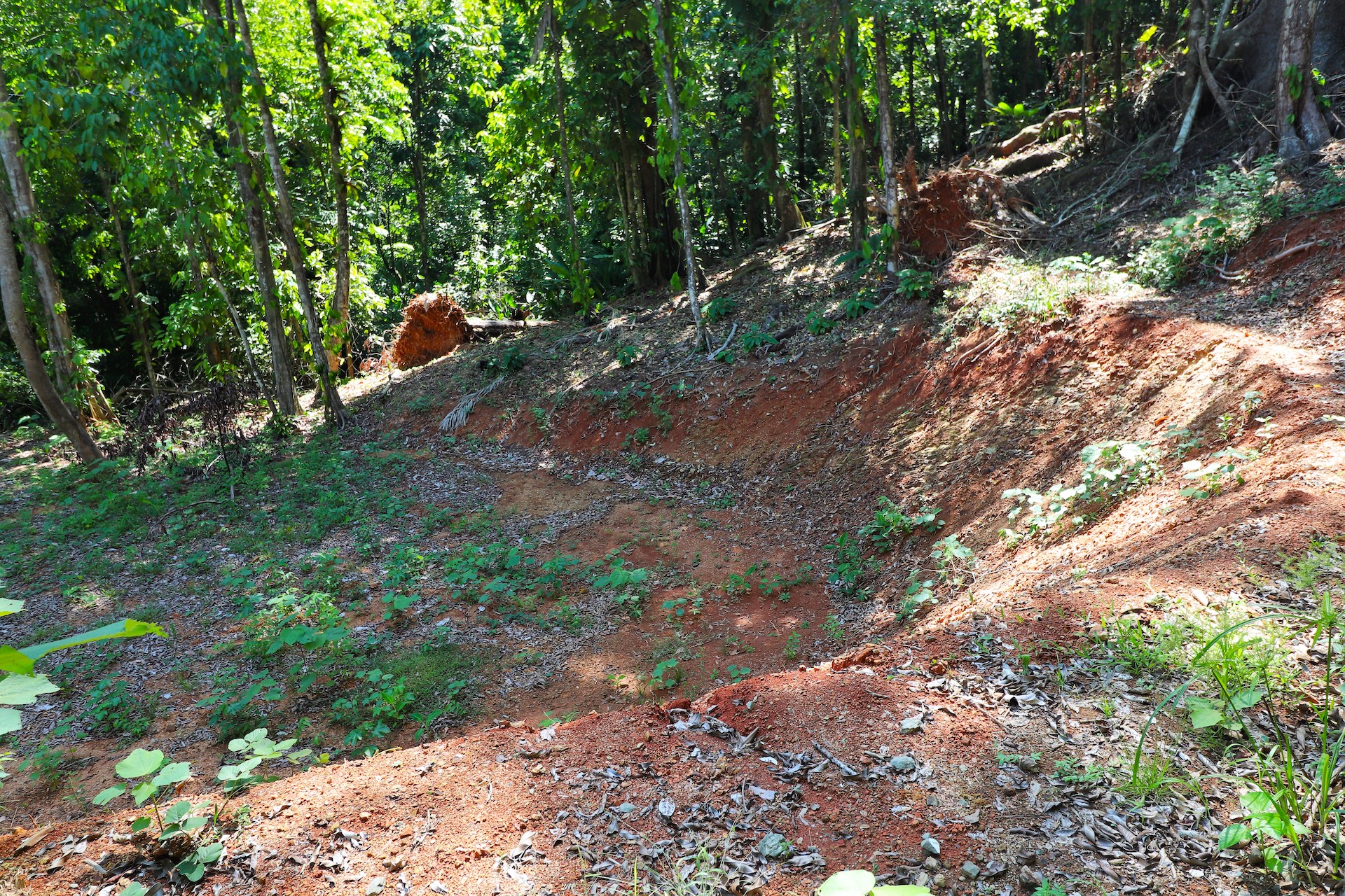 0 bed Land For Sale in Uvita, Puntarenas - thumb 21