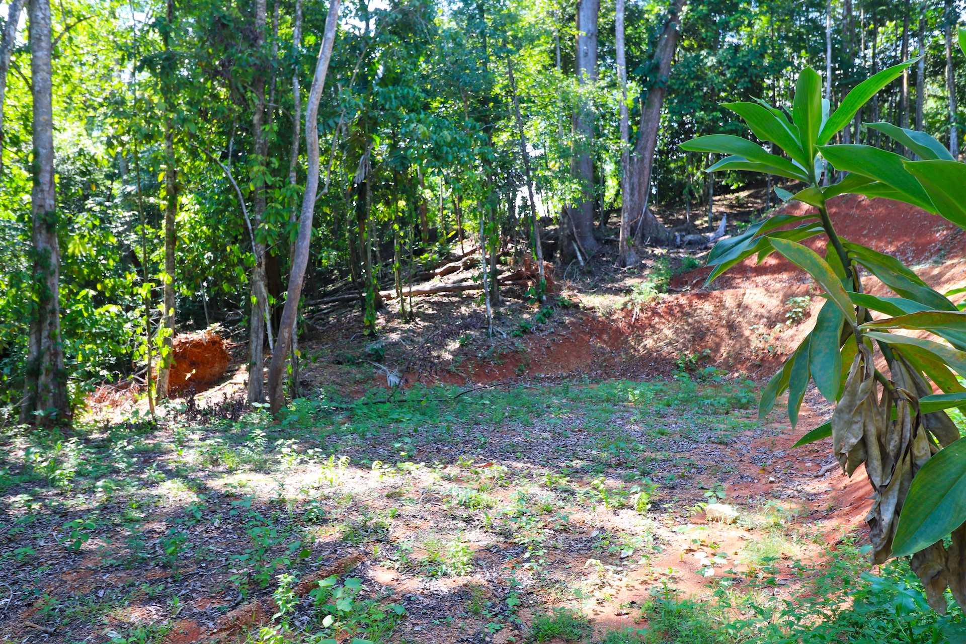 0 bed Land For Sale in Uvita, Puntarenas - thumb 22