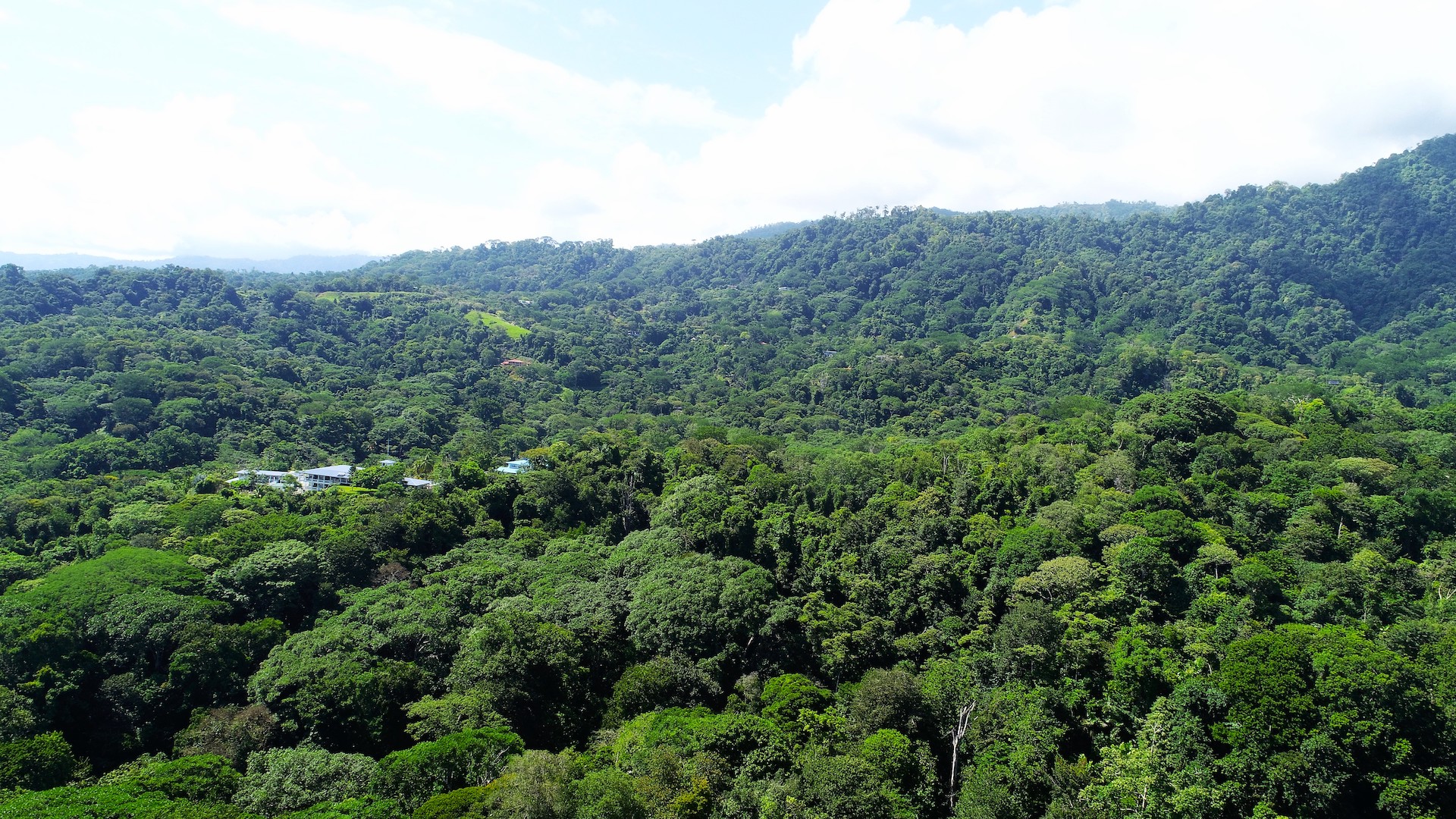 0 bed Land For Sale in Uvita, Puntarenas - thumb 9