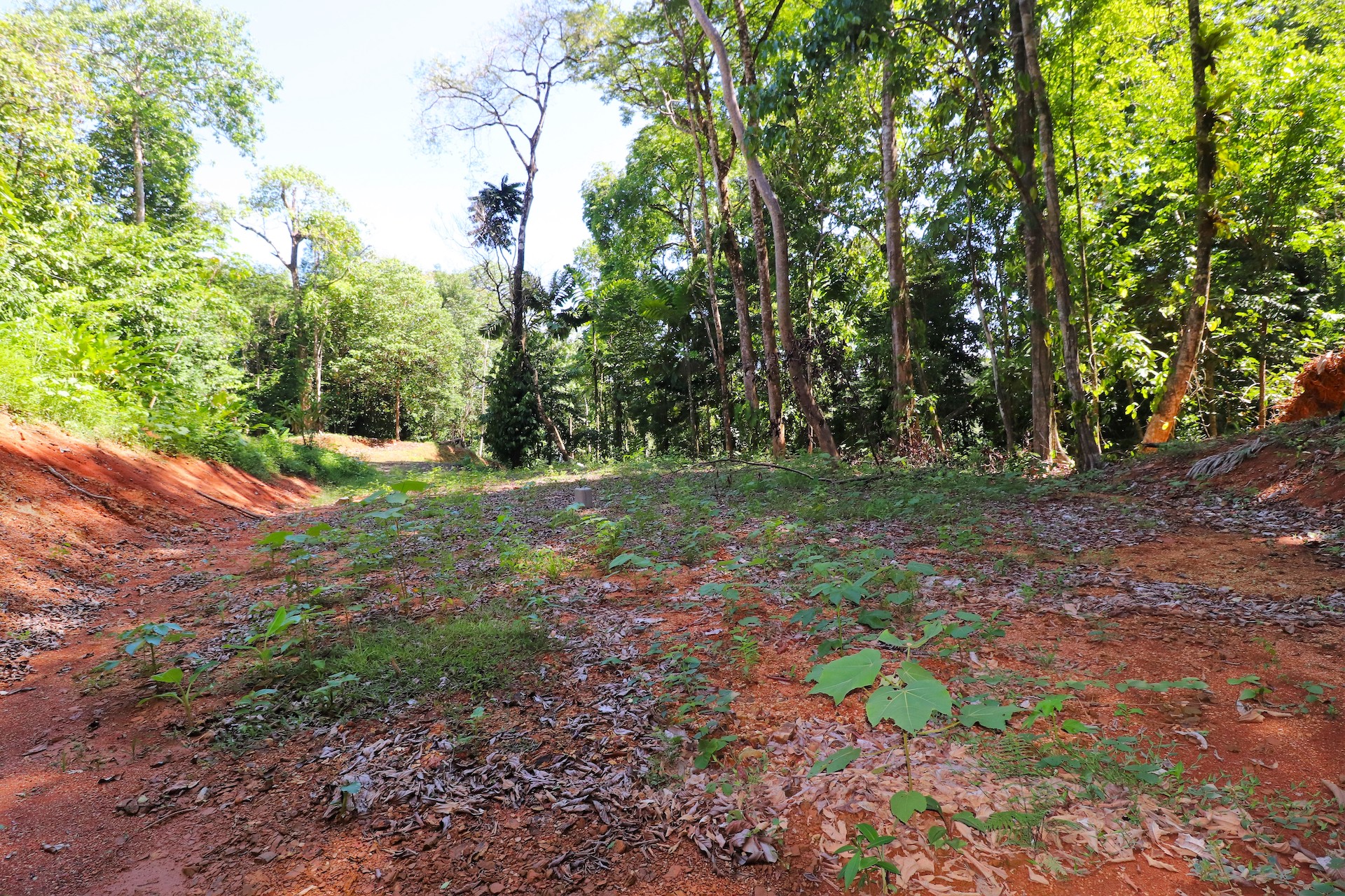 0 bed Land For Sale in Uvita, Puntarenas - thumb 11