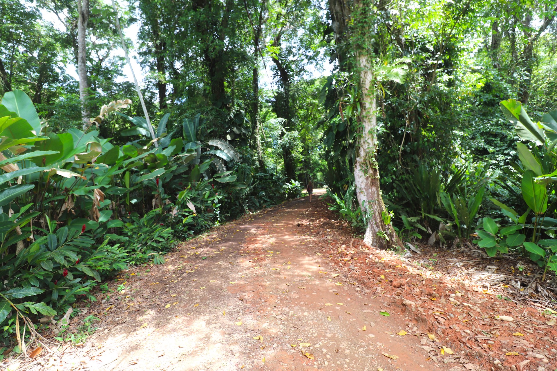0 bed Land For Sale in Uvita, Puntarenas - thumb 13