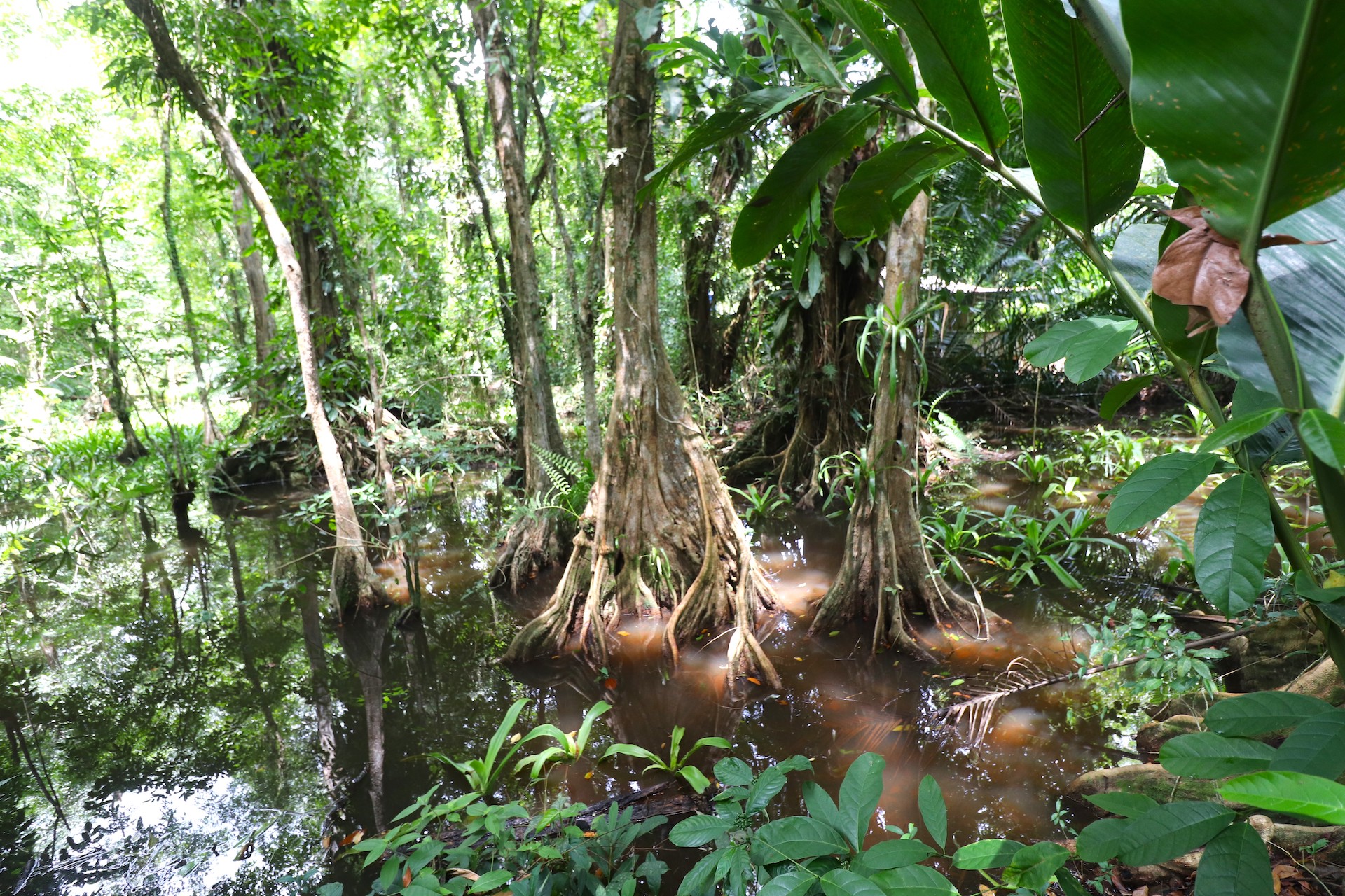 0 bed Land For Sale in Uvita, Puntarenas - thumb 24