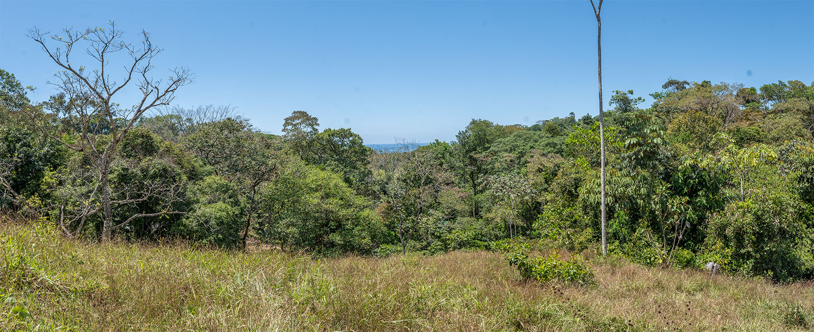 0 bed Land For Sale in Uvita, Puntarenas - thumb 3