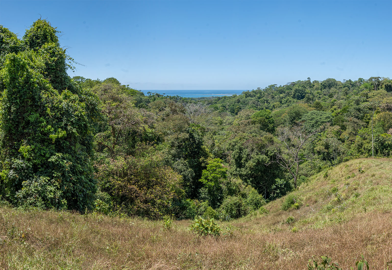 0 bed Land For Sale in Uvita, Puntarenas - thumb 10