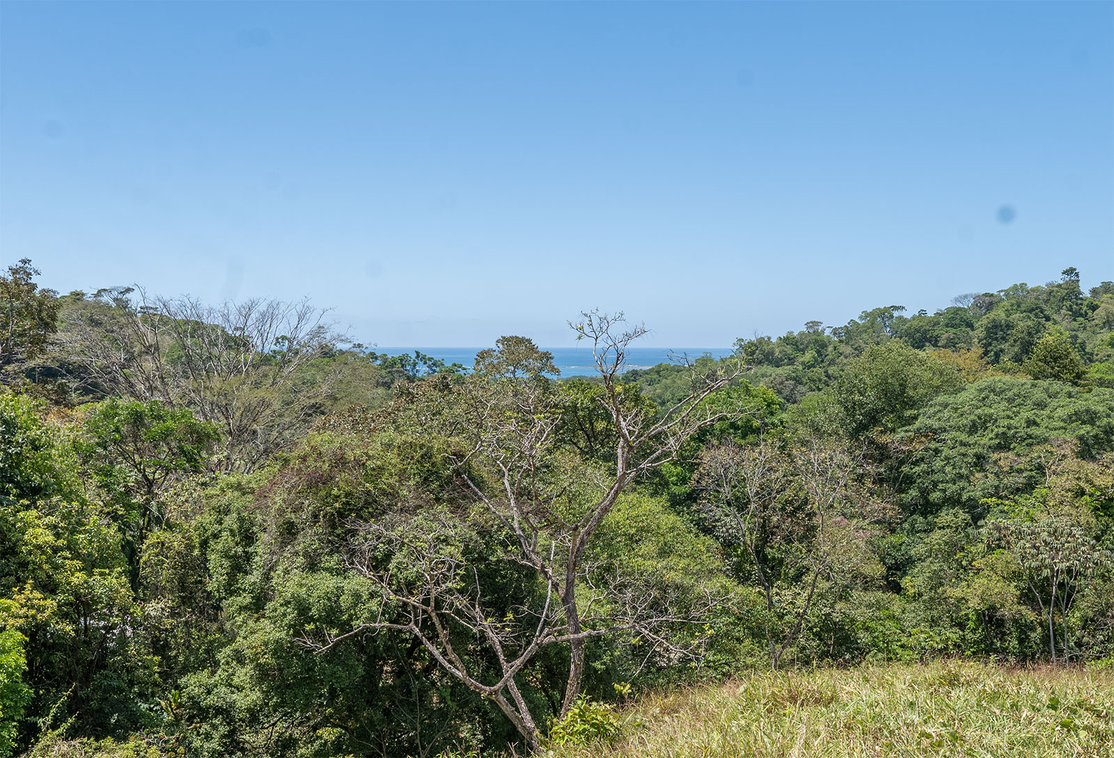 0 bed Land For Sale in Uvita, Puntarenas - thumb 2