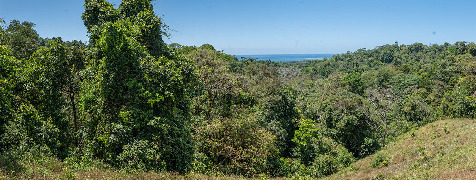 0 bed Land For Sale in Uvita, Puntarenas - thumb 9