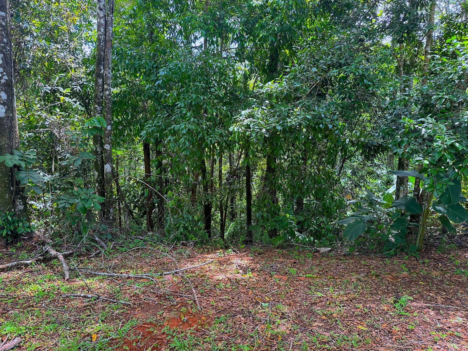 4 bed Single Family Homes For Sale in Dominical, Puntarenas - thumb 16