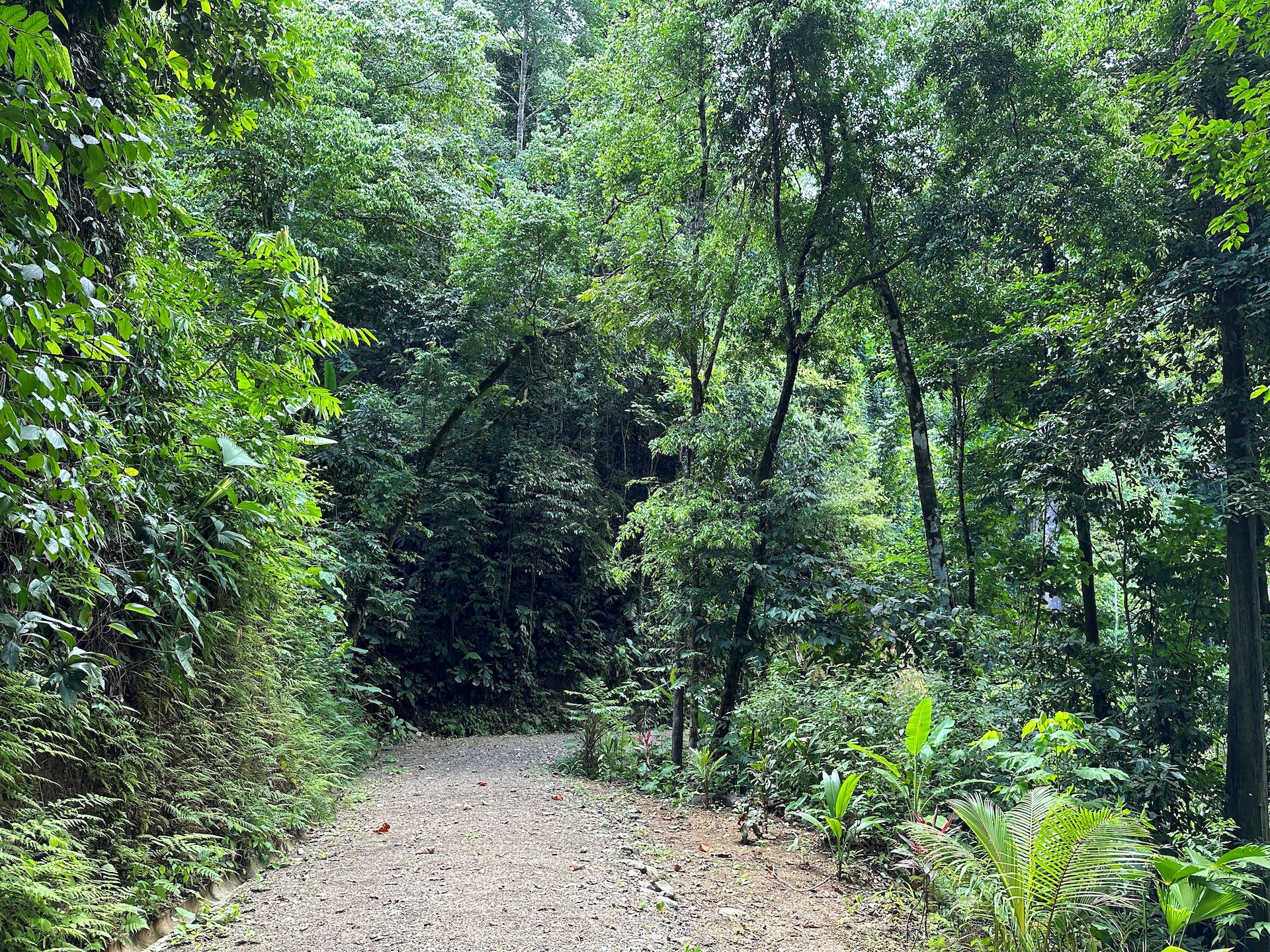 0 bed Land For Sale in Ojochal, Puntarenas - thumb 19