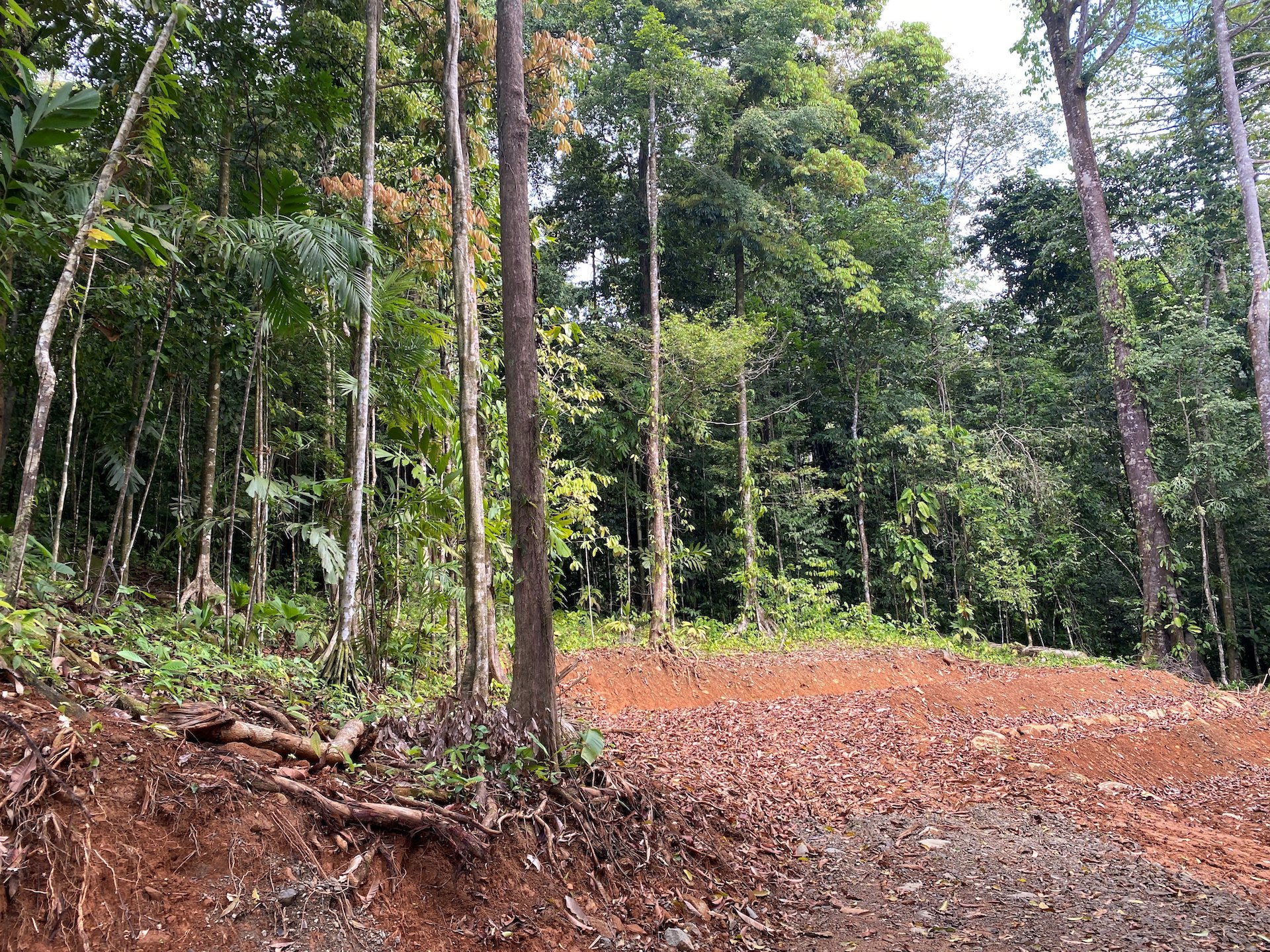 0 bed Land For Sale in Ojochal, Puntarenas - thumb 18