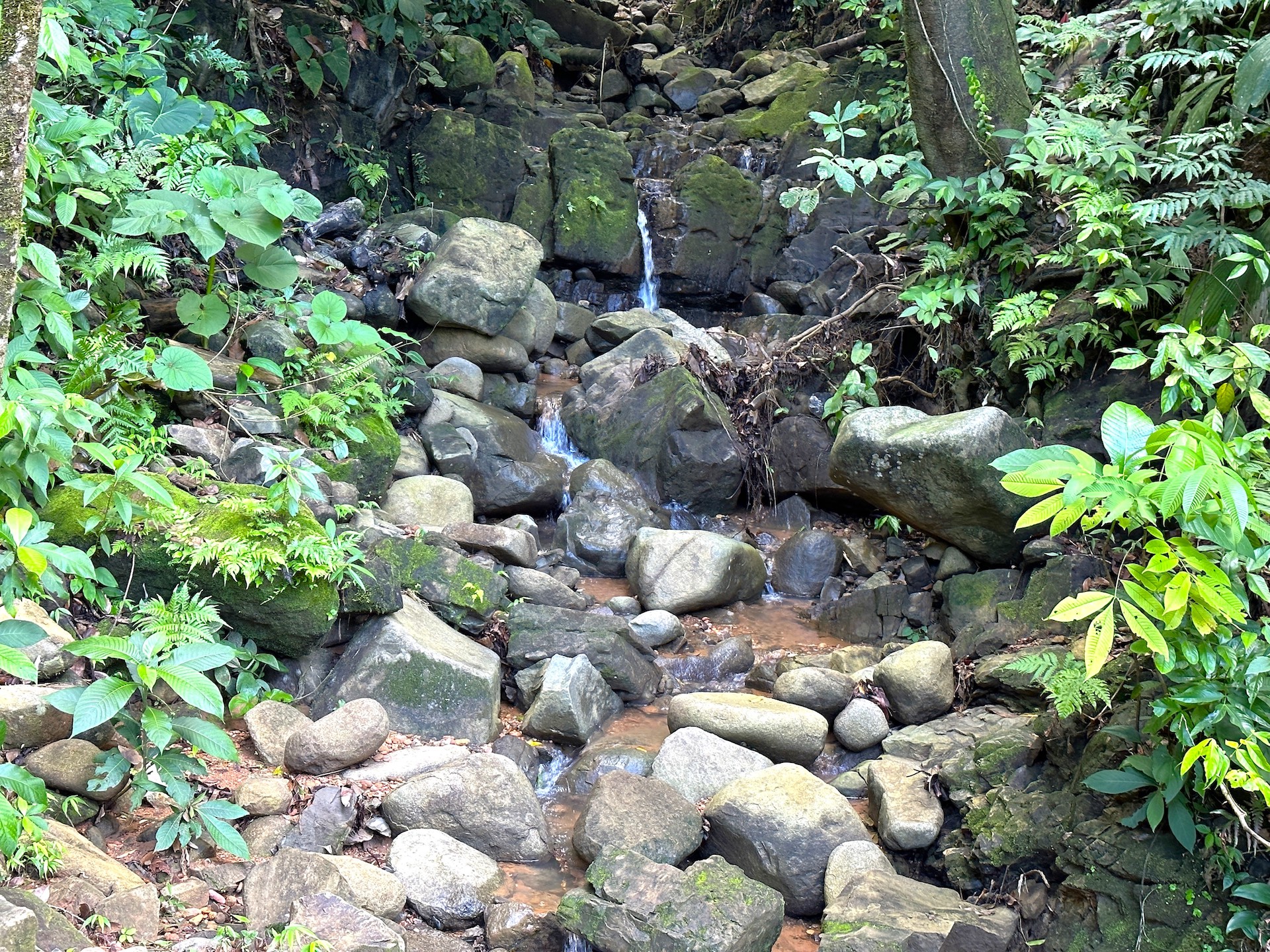 0 bed Land For Sale in Ojochal, Puntarenas - thumb 21