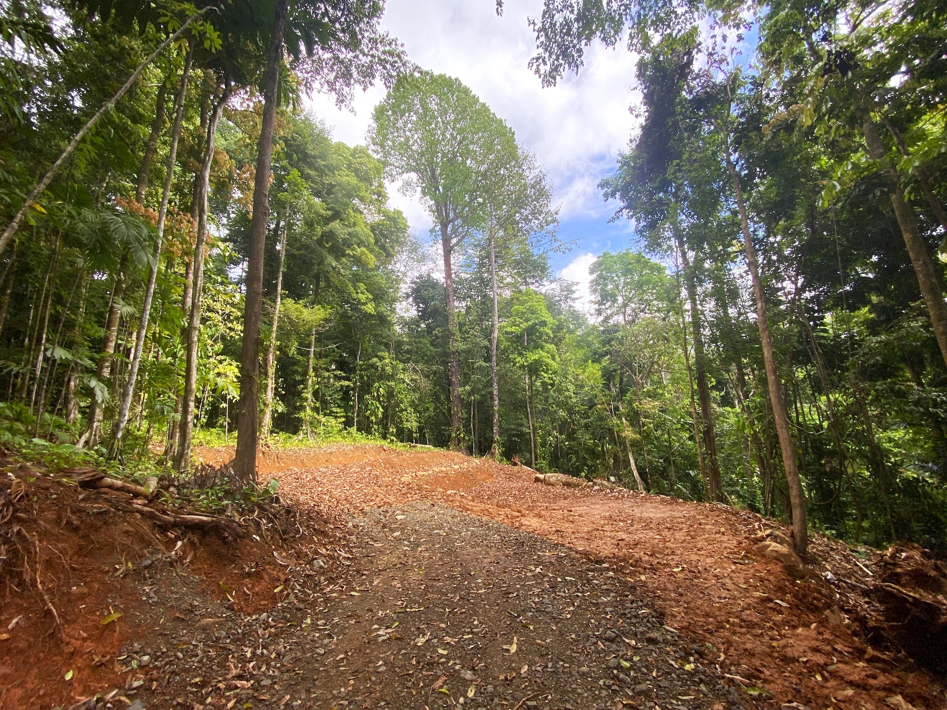 0 bed Land For Sale in Ojochal, Puntarenas - thumb 17