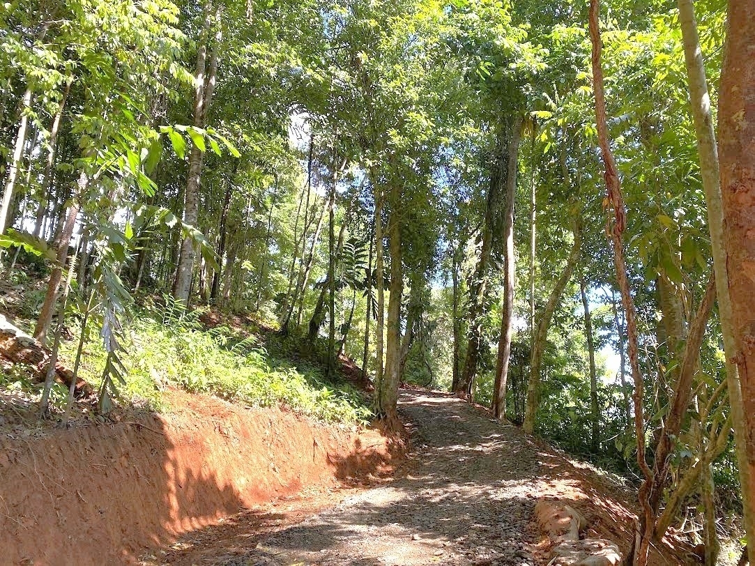 0 bed Land For Sale in Ojochal, Puntarenas - thumb 16