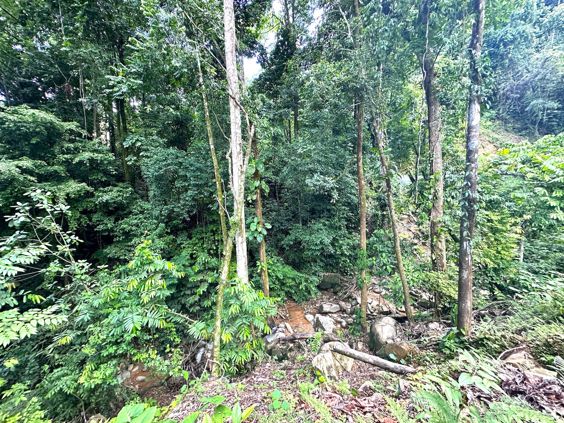 0 bed Land For Sale in Ojochal, Puntarenas - thumb 23