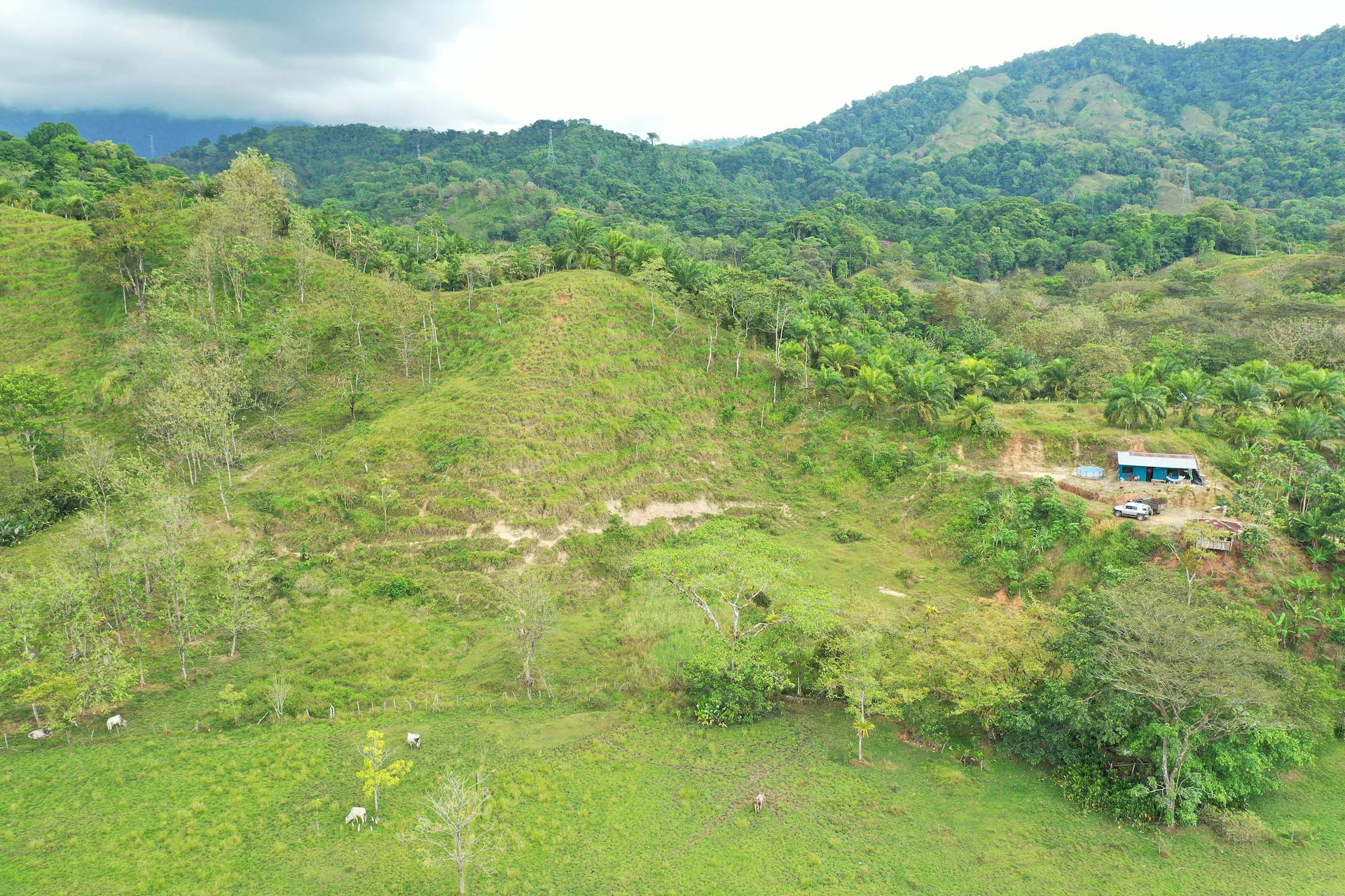 0 bed Land For Sale in Quepos, Puntarenas - thumb 7
