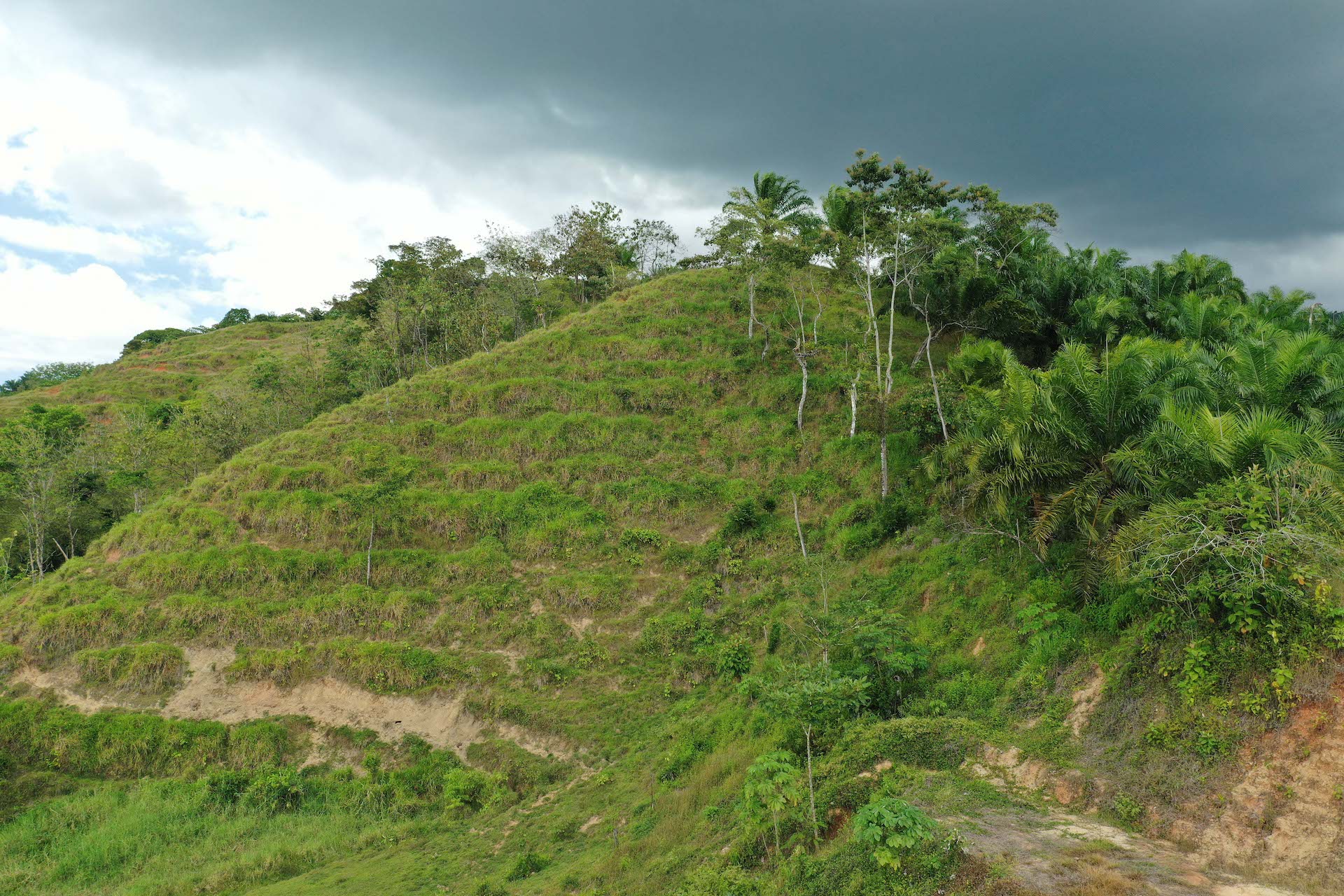 0 bed Land For Sale in Quepos, Puntarenas - thumb 10