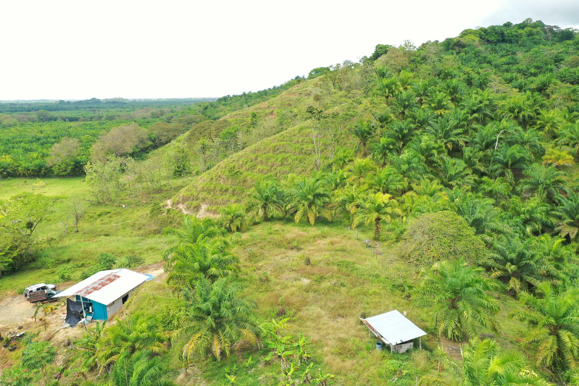 0 bed Land For Sale in Quepos, Puntarenas - thumb 9