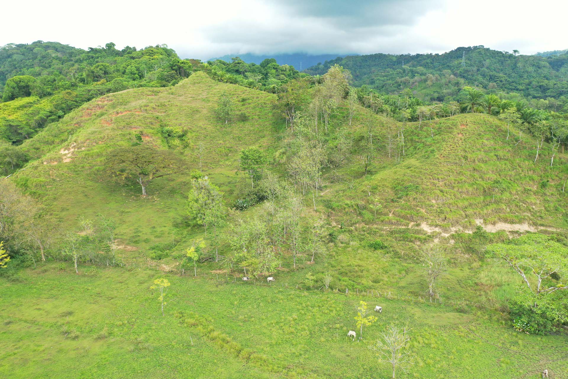 0 bed Land For Sale in Quepos, Puntarenas - thumb 6