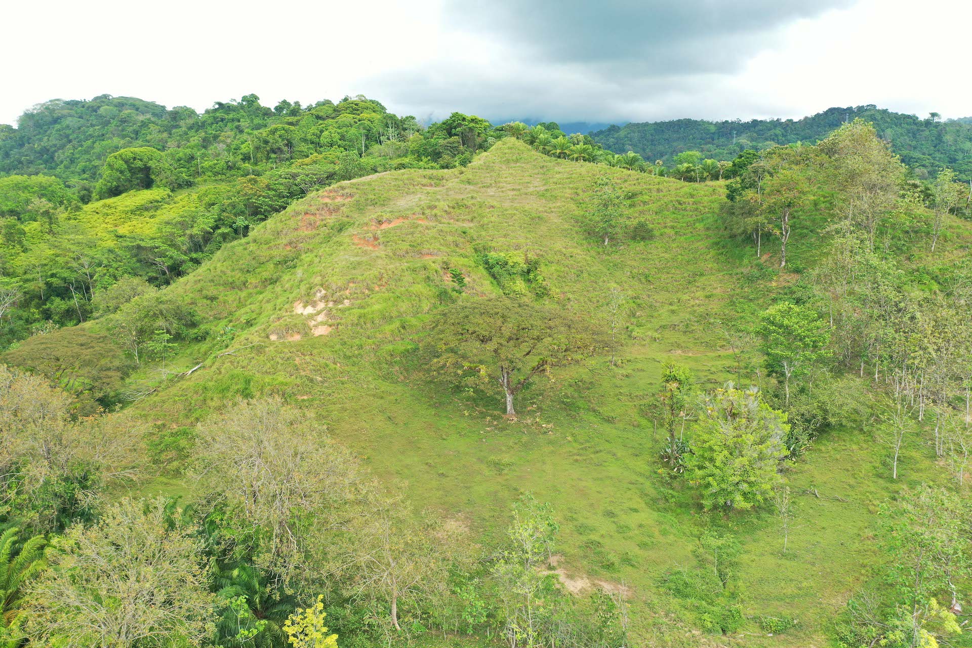 0 bed Land For Sale in Quepos, Puntarenas - thumb 8