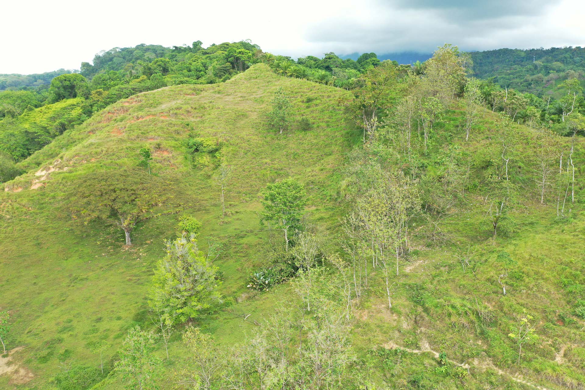 0 bed Land For Sale in Quepos, Puntarenas - thumb 5