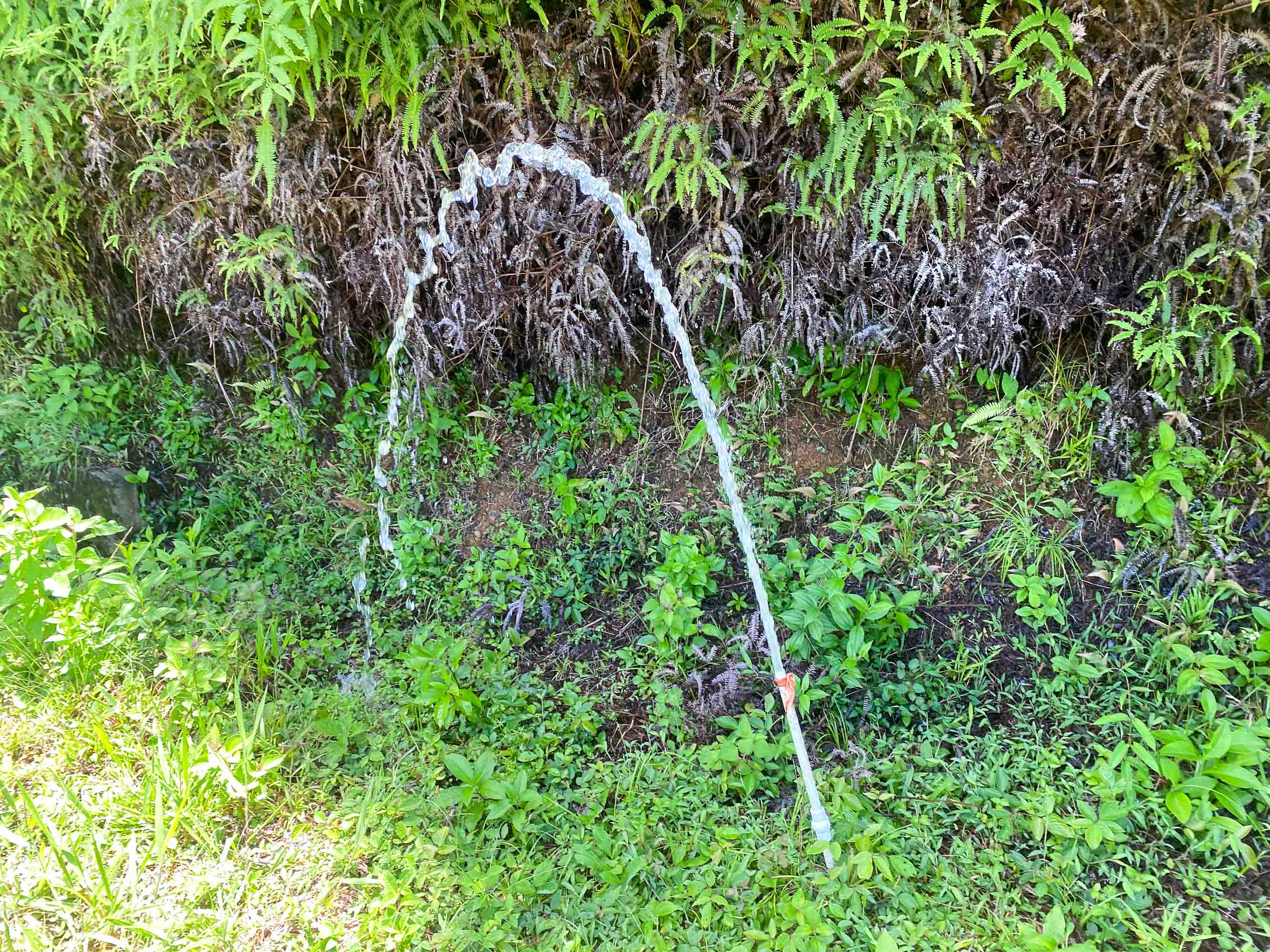 0 bed Land For Sale in Dominical, Puntarenas - thumb 7