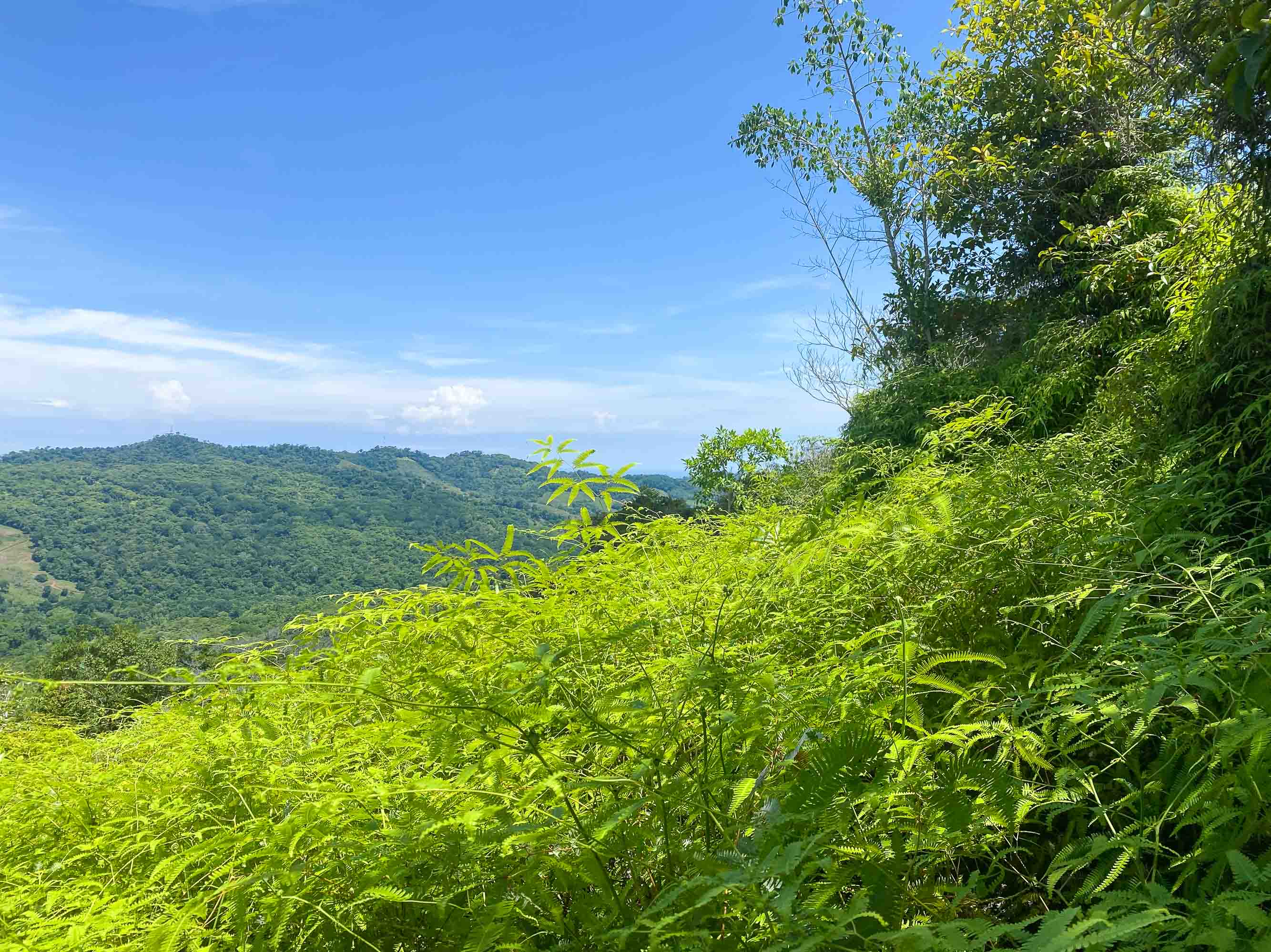 0 bed Land For Sale in Dominical, Puntarenas - thumb 6