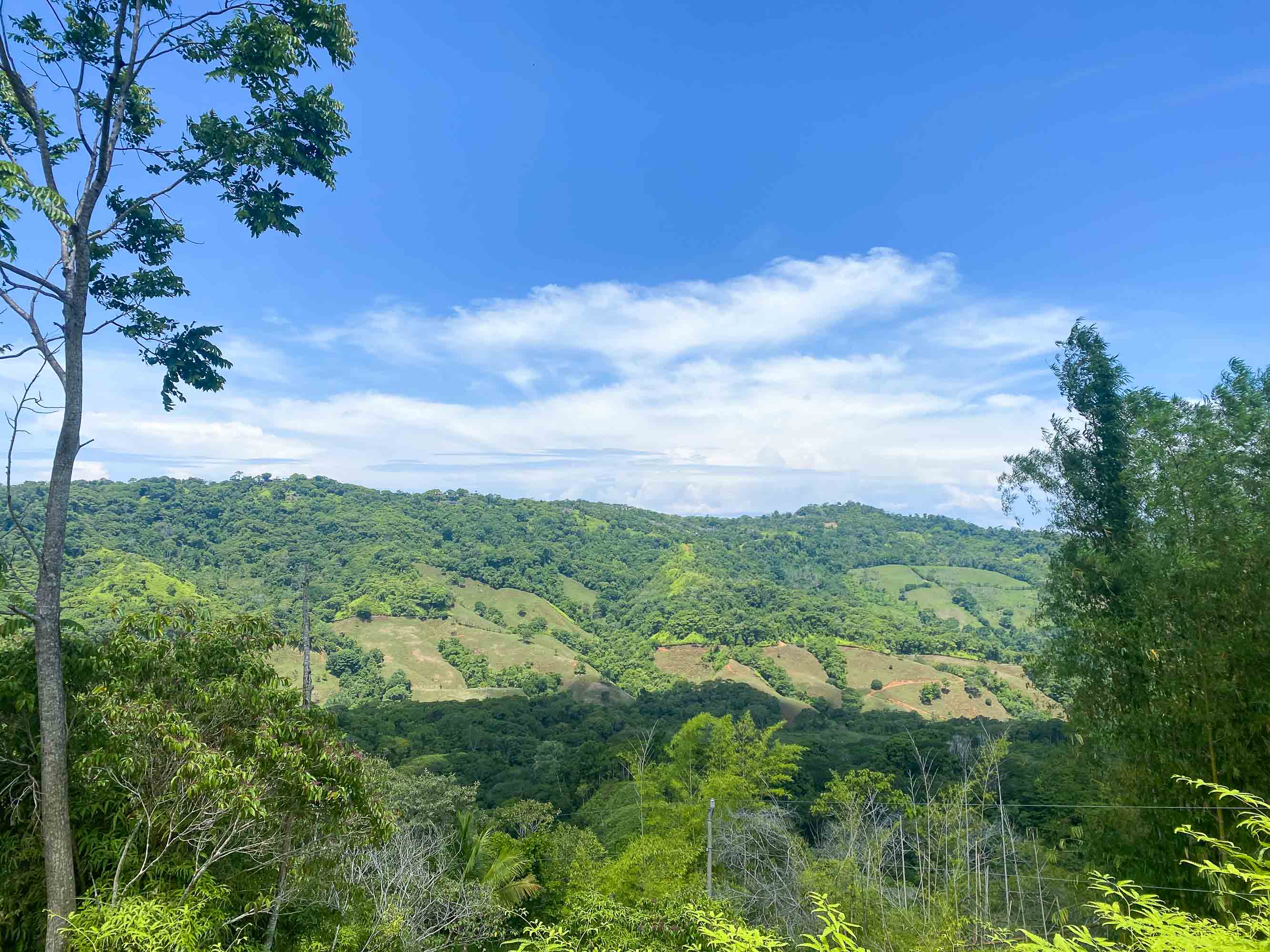 0 bed Land For Sale in Dominical, Puntarenas - thumb 3