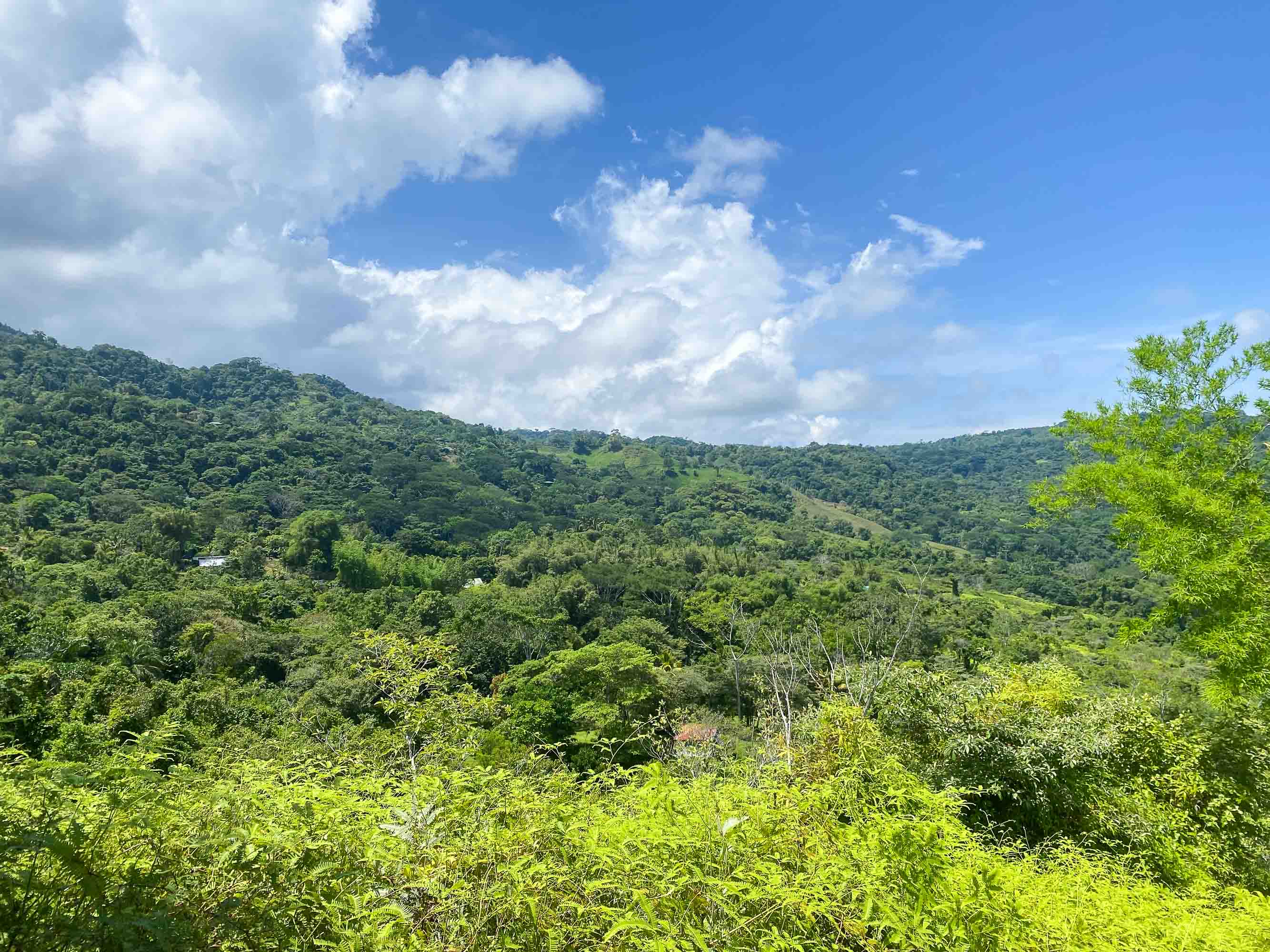 0 bed Land For Sale in Dominical, Puntarenas - thumb 5