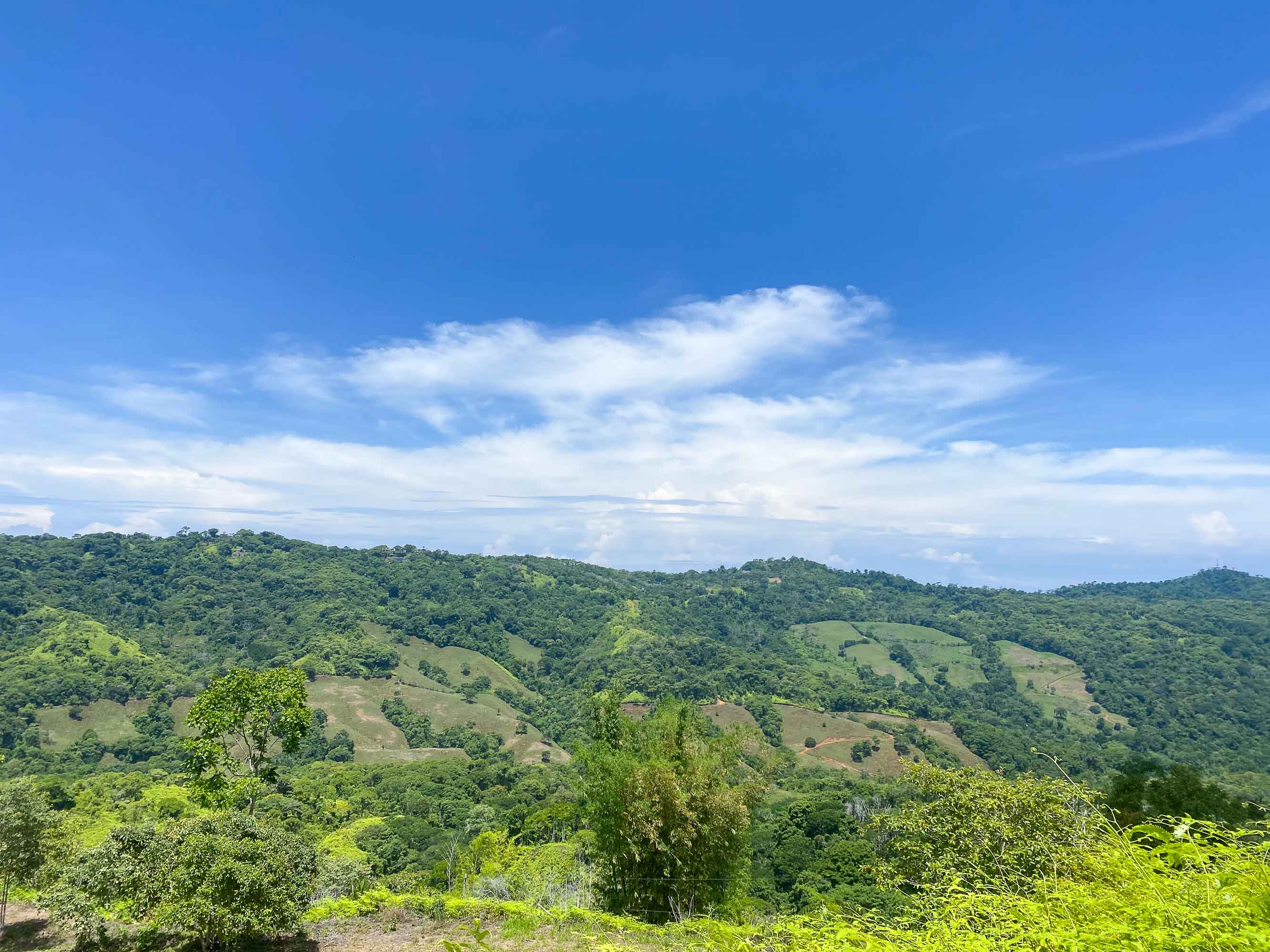 0 bed Land For Sale in Dominical, Puntarenas - thumb 1
