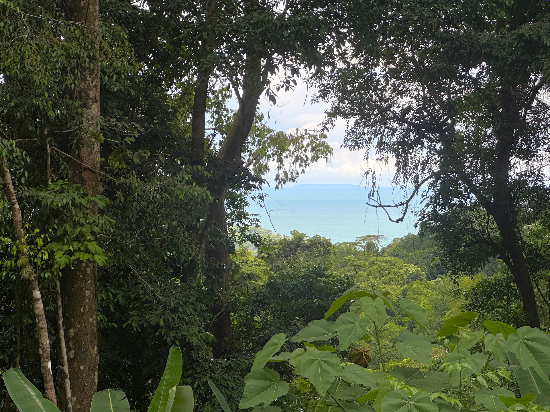 0 bed Land For Sale in Ojochal, Puntarenas - thumb 5