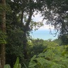  - 11.24 Acres with Two Stunning Ocean View Building Sites in Cinco Ventanas