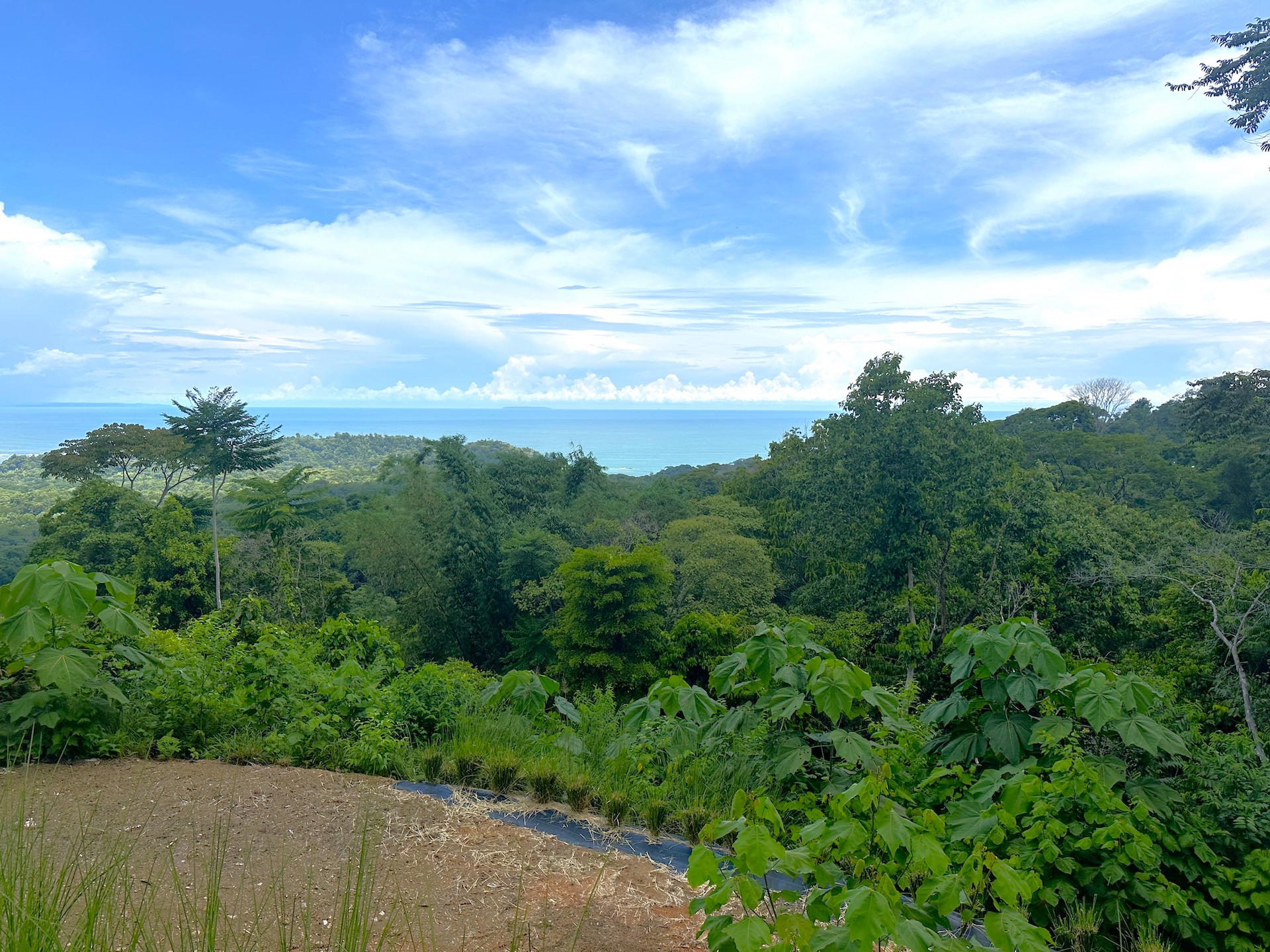 0 bed Land For Sale in Ojochal, Puntarenas - thumb 4