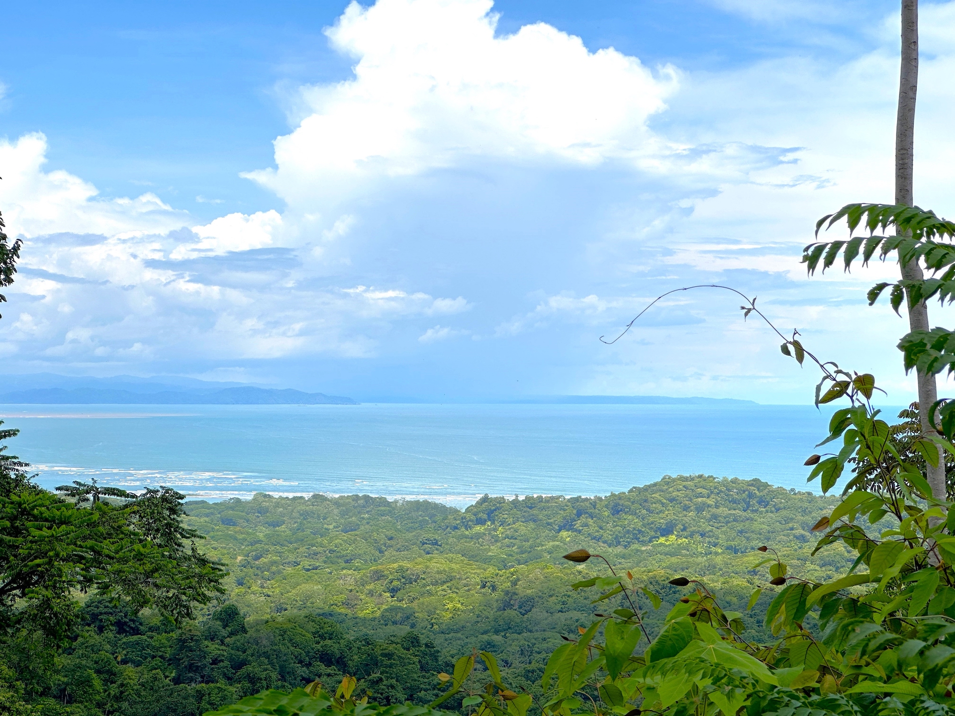 0 bed Land For Sale in Ojochal, Puntarenas - thumb 3