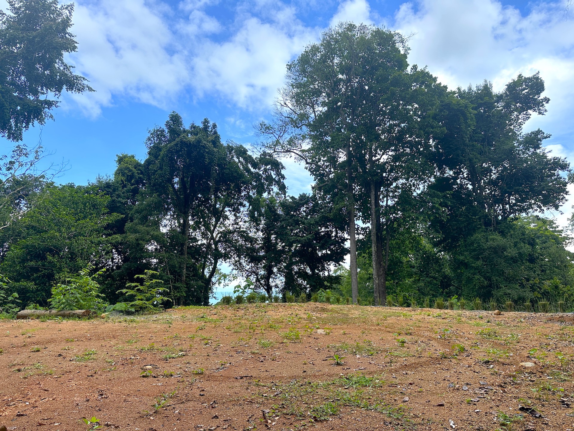 0 bed Land For Sale in Ojochal, Puntarenas - thumb 7