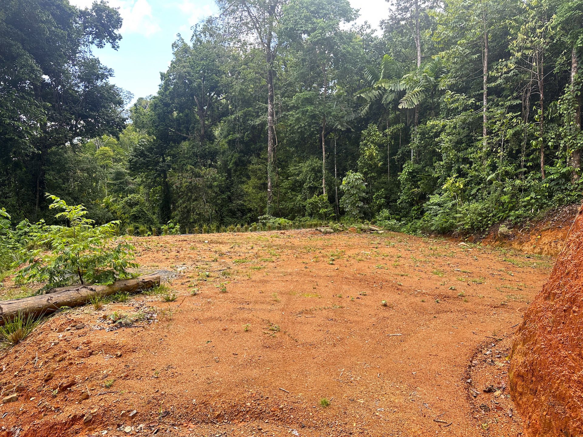 0 bed Land For Sale in Ojochal, Puntarenas - thumb 8